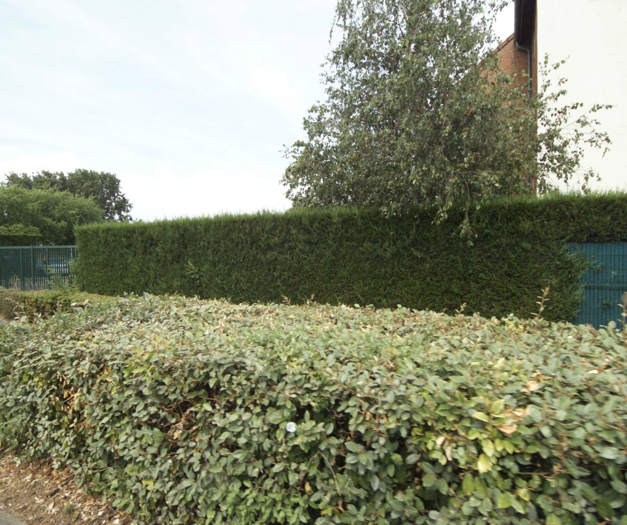 Street view near Sure Hotel by Best Western Lille Tourcoing, Tourcoing — © melimmergis (CC BY-SA · Mapillary)