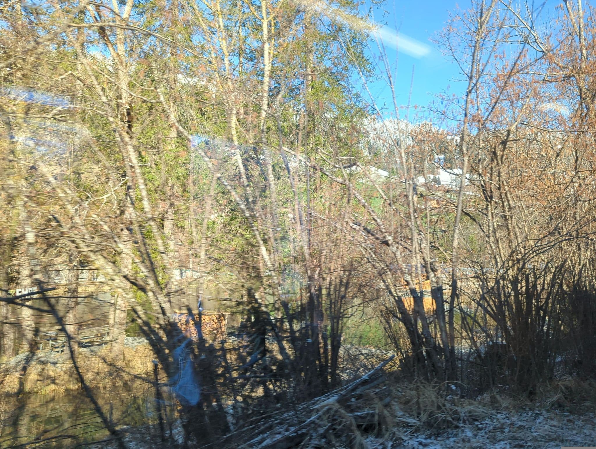 Street view near Forellensee, Zweisimmen — © oeschinen (CC BY-SA · Mapillary)