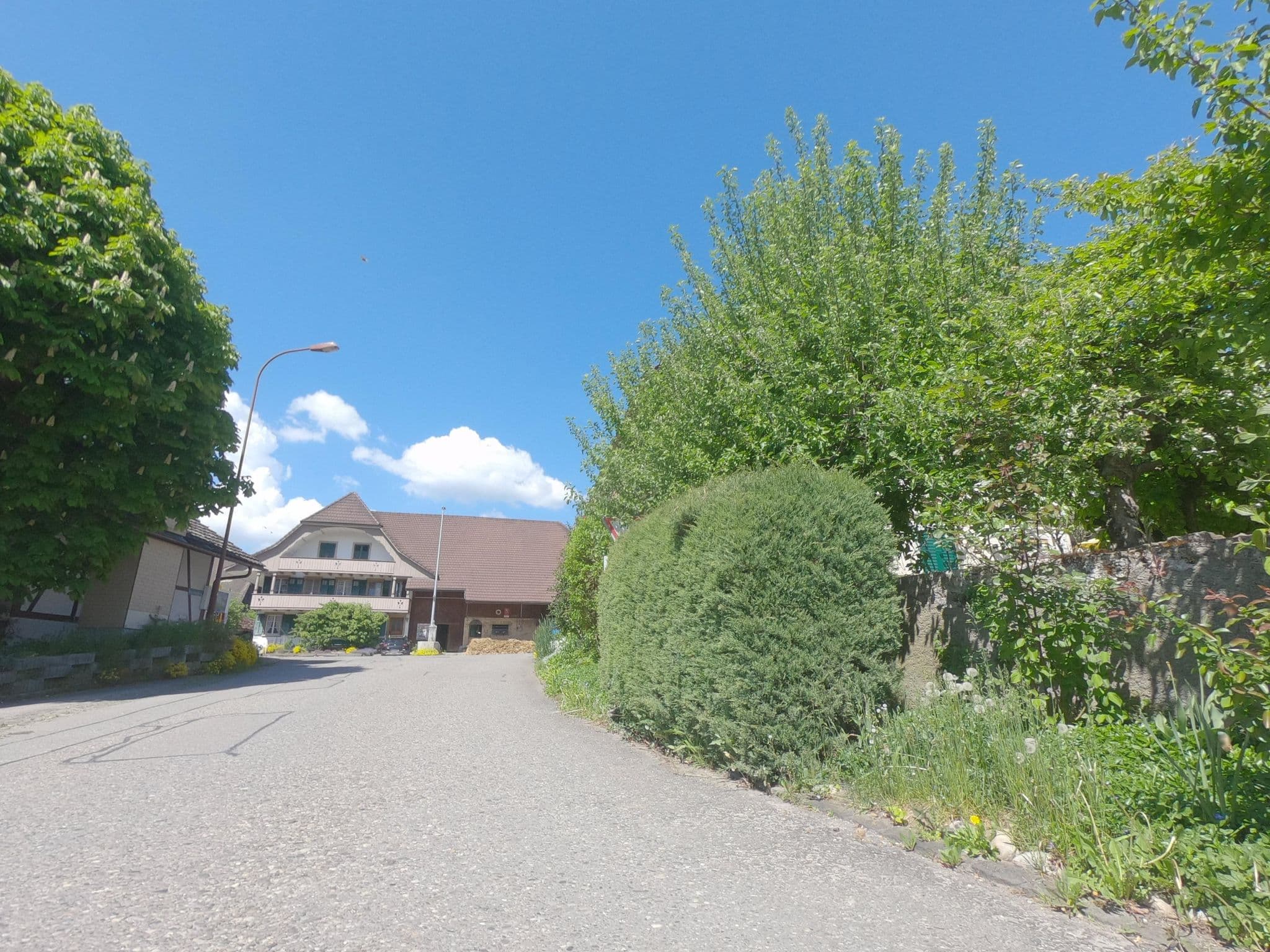 Street view near Rössli, Leuzigen — © Senfkorn (CC BY-SA · Mapillary)
