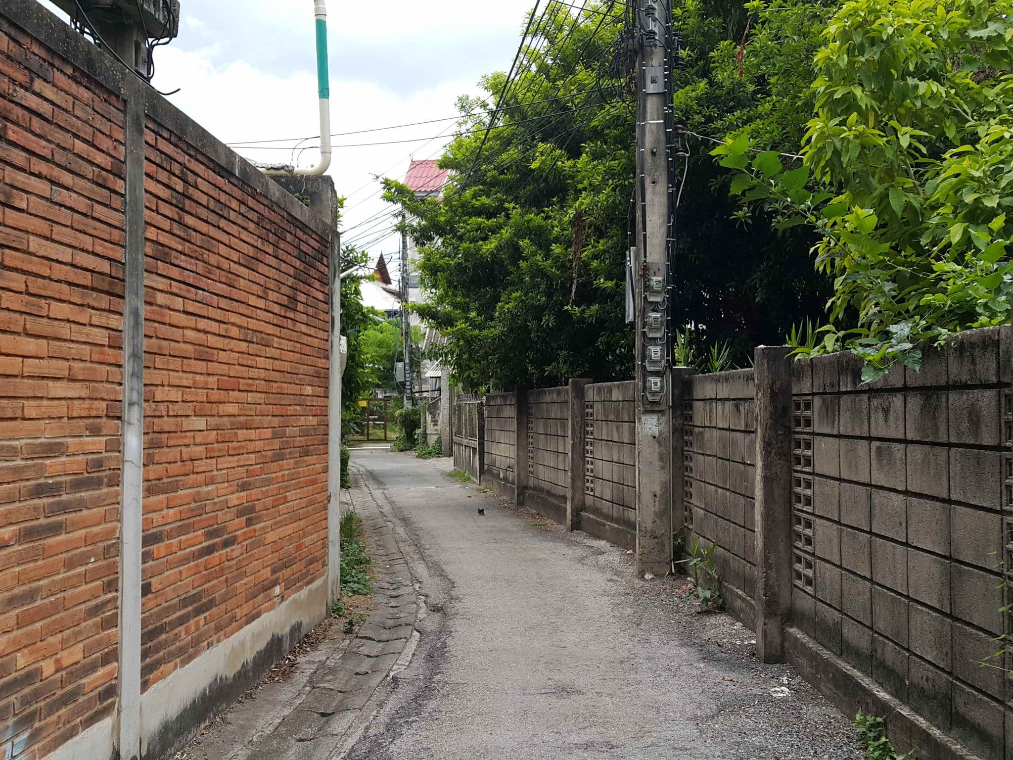 Street view near POR Thapae Gate, Chiang Mai