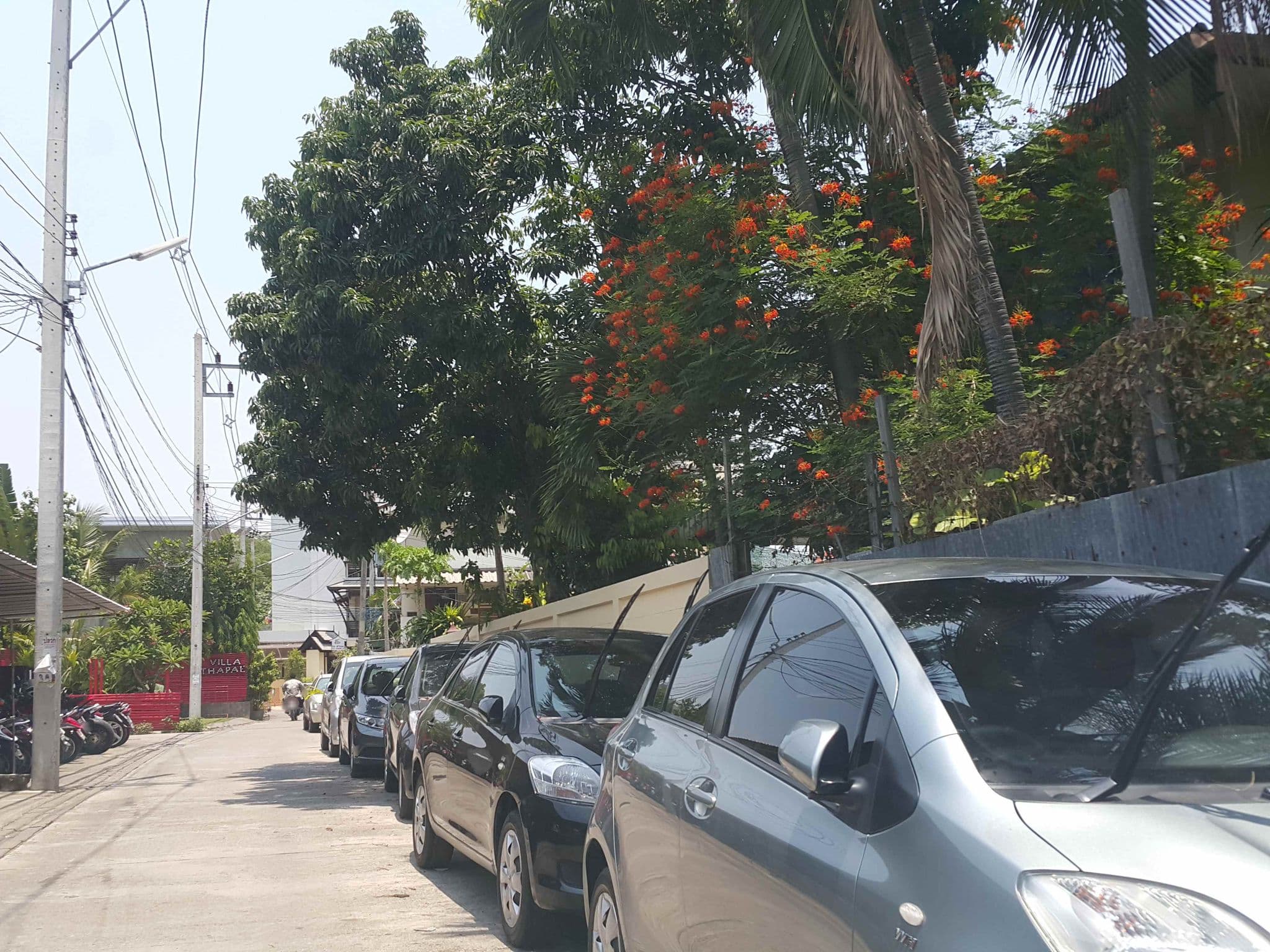 Street view near Sleep Mai? Tha Phae Chiang Mai, Chiang Mai — © jrcarlsen (CC BY-SA · Mapillary)
