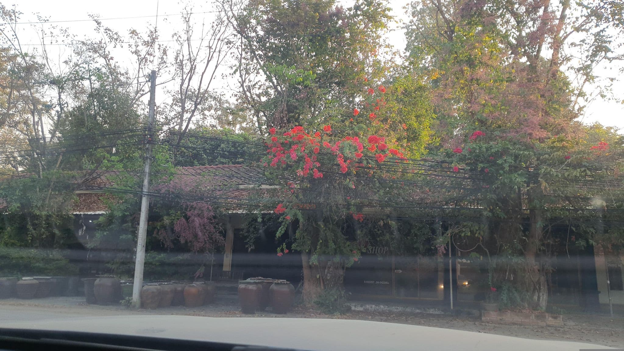Street view near OYO 957 Thai Gallery Home, Hang Dong — © jrcarlsen (CC BY-SA · Mapillary)