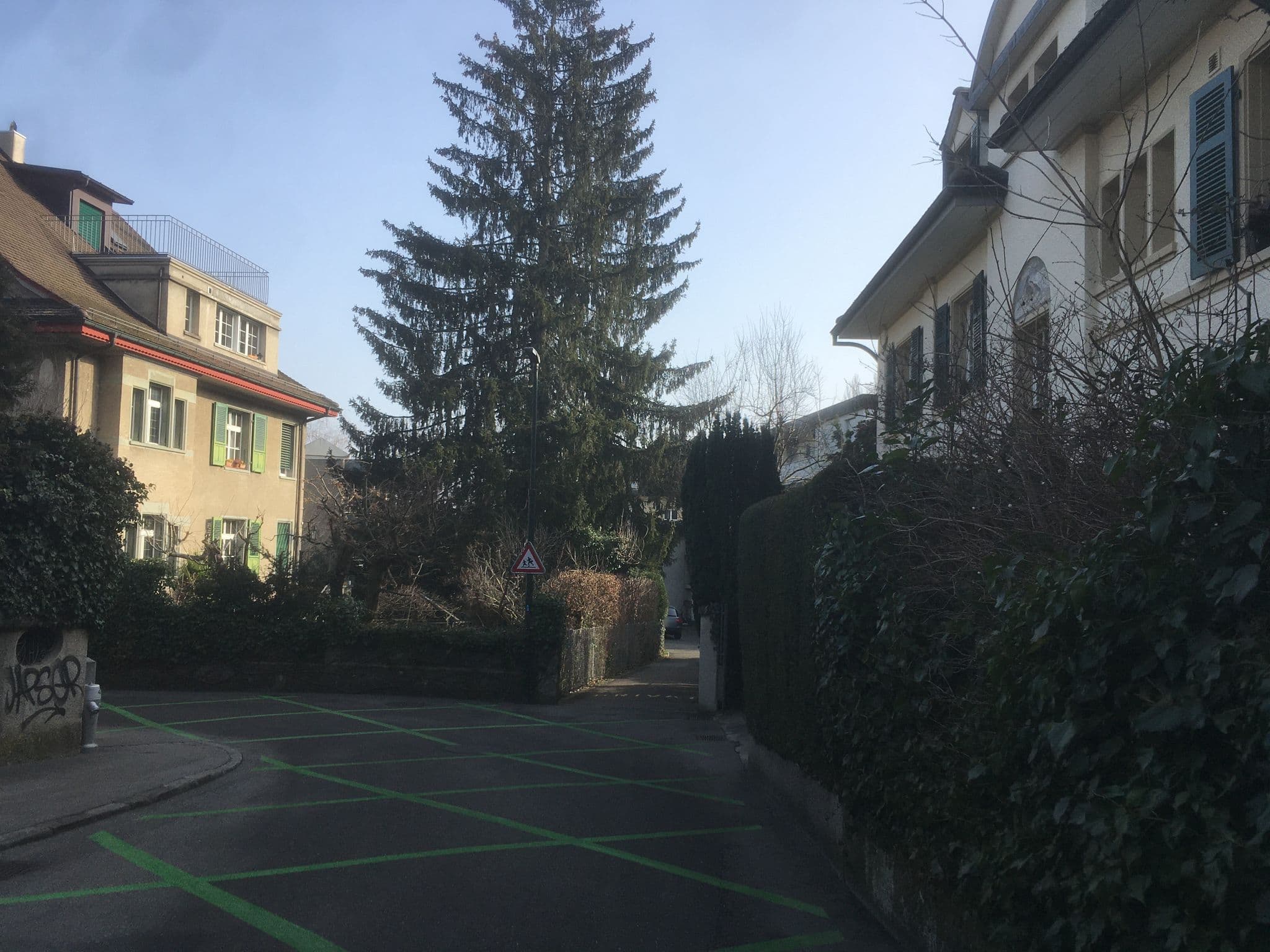Street view near B&B Wildrose, Bern — © habi (CC BY-SA · Mapillary)