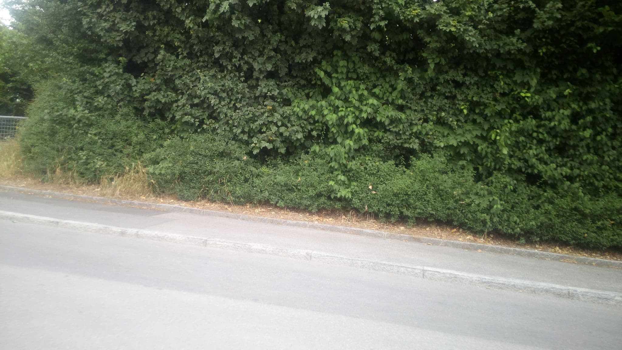 Street view near Stellplatz Camping Vidy, Prilly — © yannoun (CC BY-SA · Mapillary)