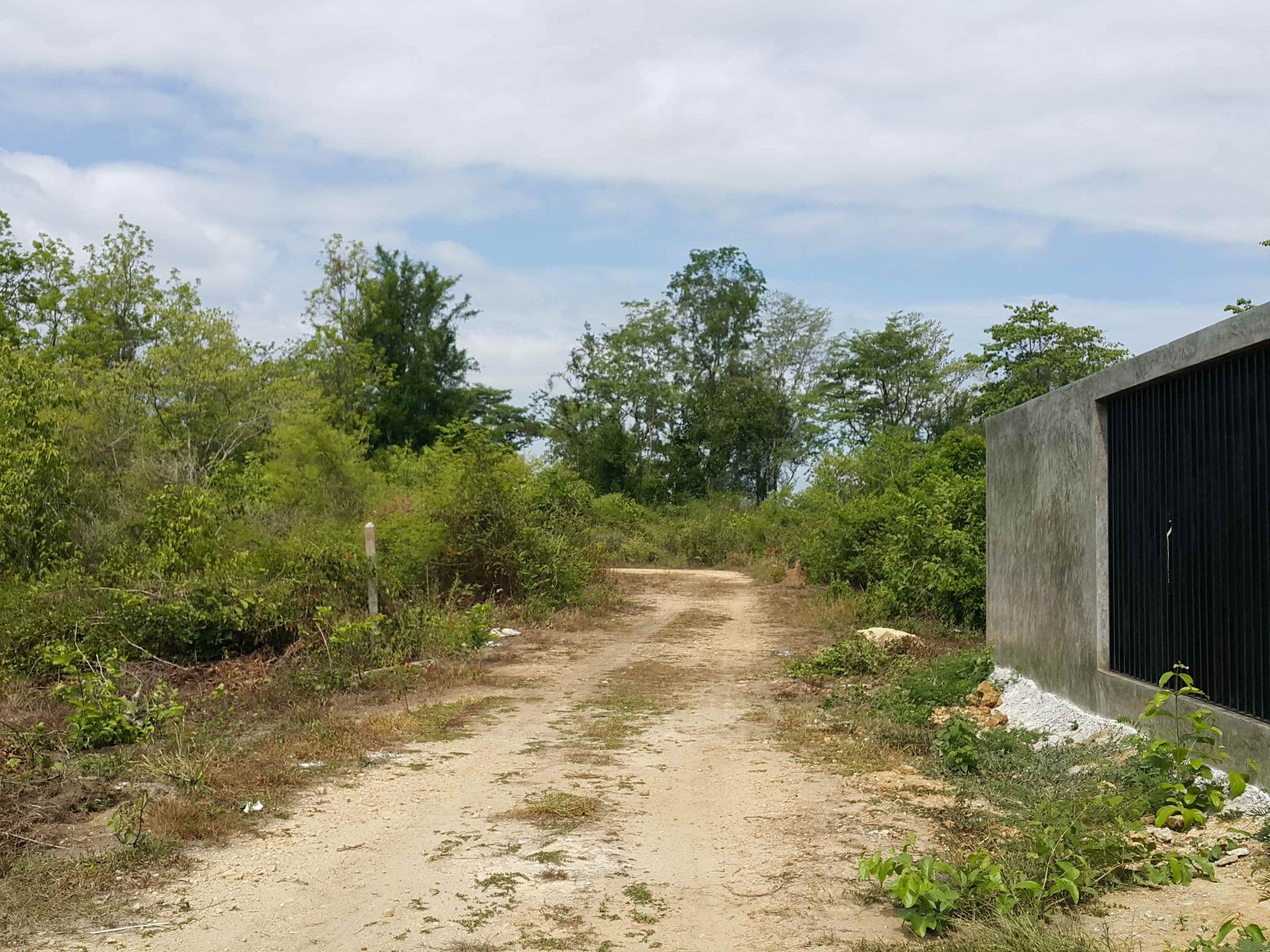 Street view near Sing-ha Coffee&House, San Kamphaeng — © jrcarlsen (CC BY-SA · Mapillary)