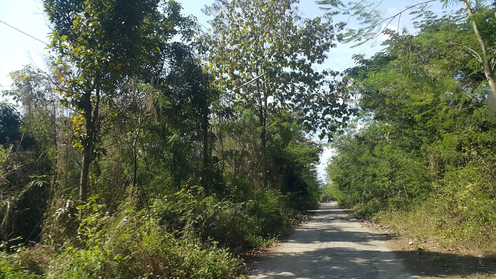 Street view near Cicada Estate, San Kamphaeng — © jrcarlsen (CC BY-SA · Mapillary)