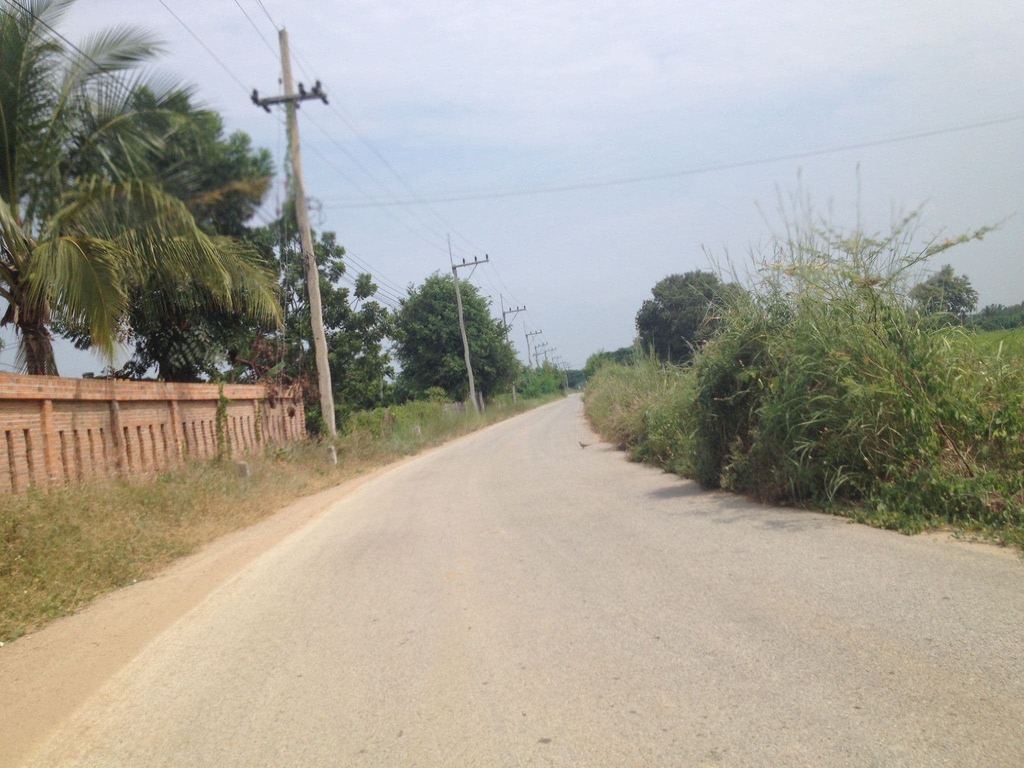 Street view near Phanumas Longstay, San Pa Tong — © jimwatana (CC BY-SA · Mapillary)
