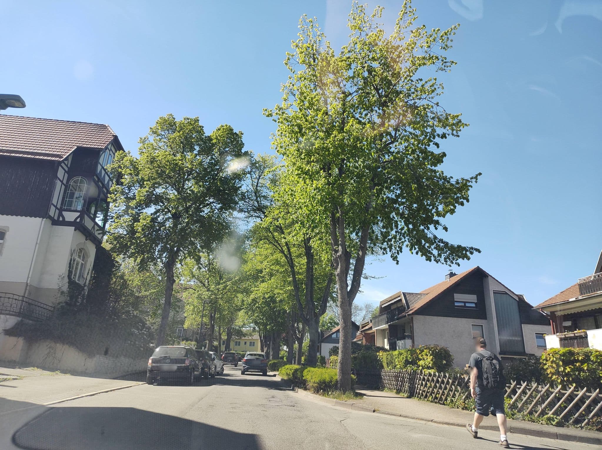 Street view near Hotel Pension Fernblick, Bad Harzburg — © thetornado76 (CC BY-SA · Mapillary)