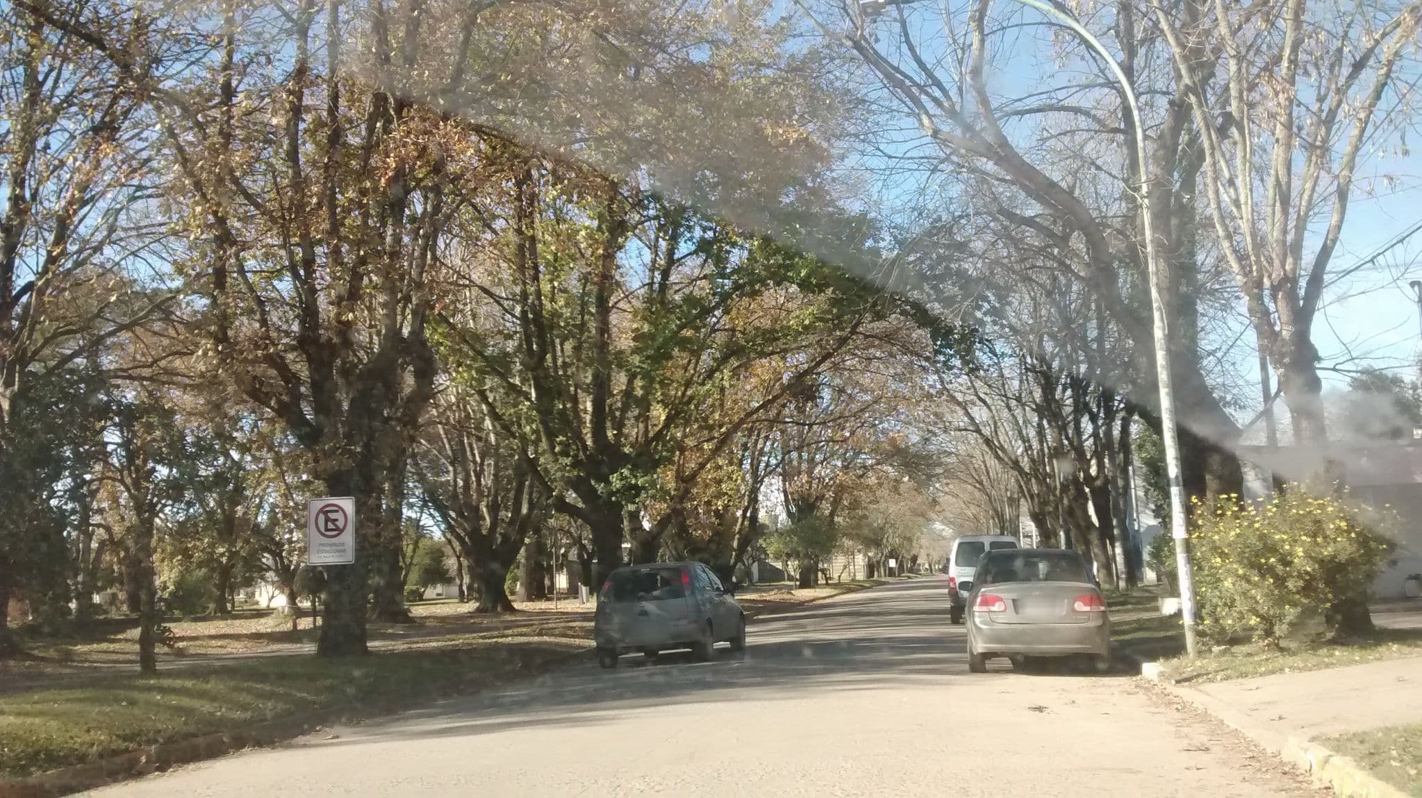 Street view near Las Margaritas, Pila — © nicfer (CC BY-SA · Mapillary)