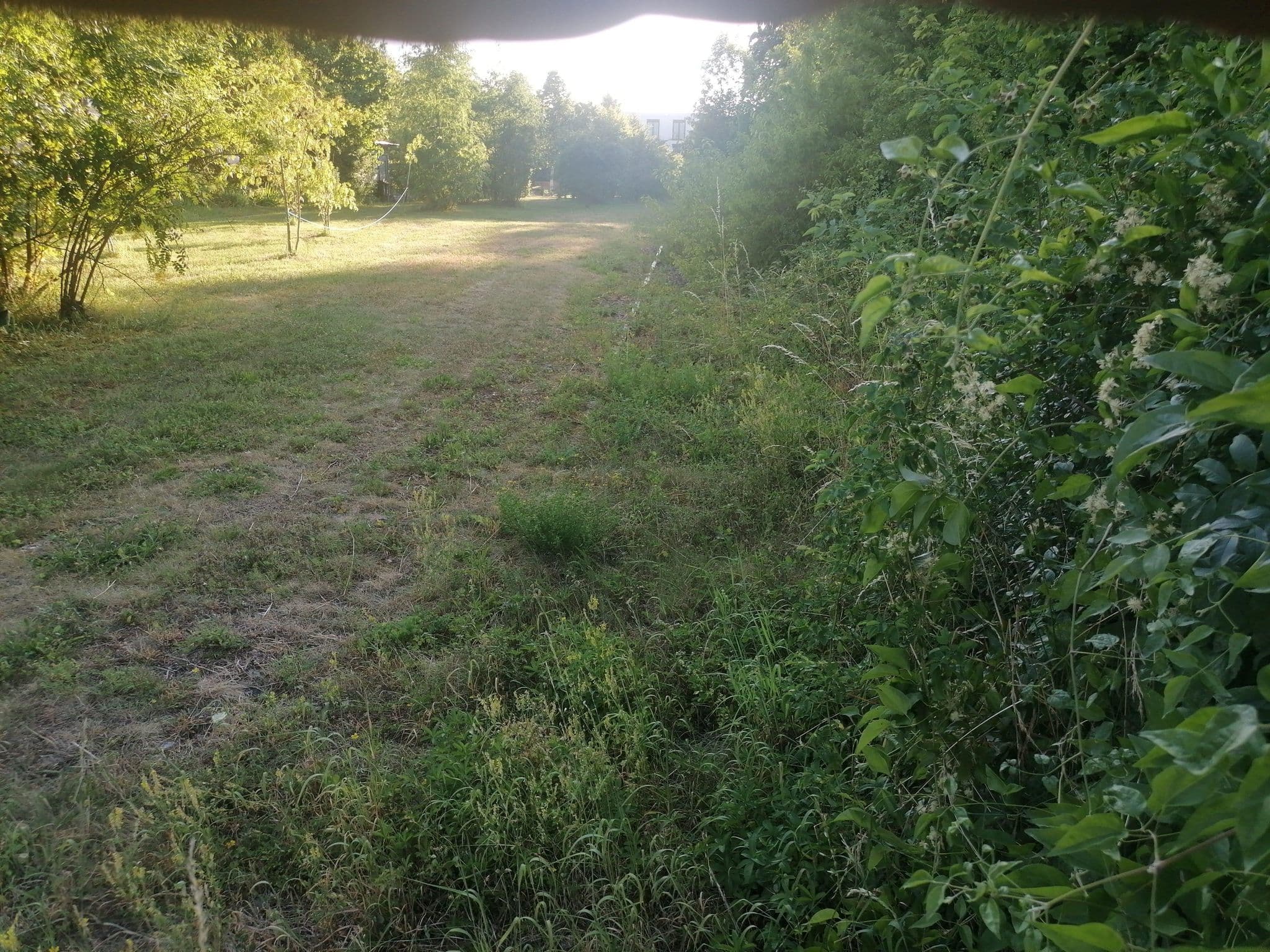 Street view near Rosa Zeiten Das Gästehaus im Alten Bahnhof, Boll — © mammi71 (CC BY-SA · Mapillary)