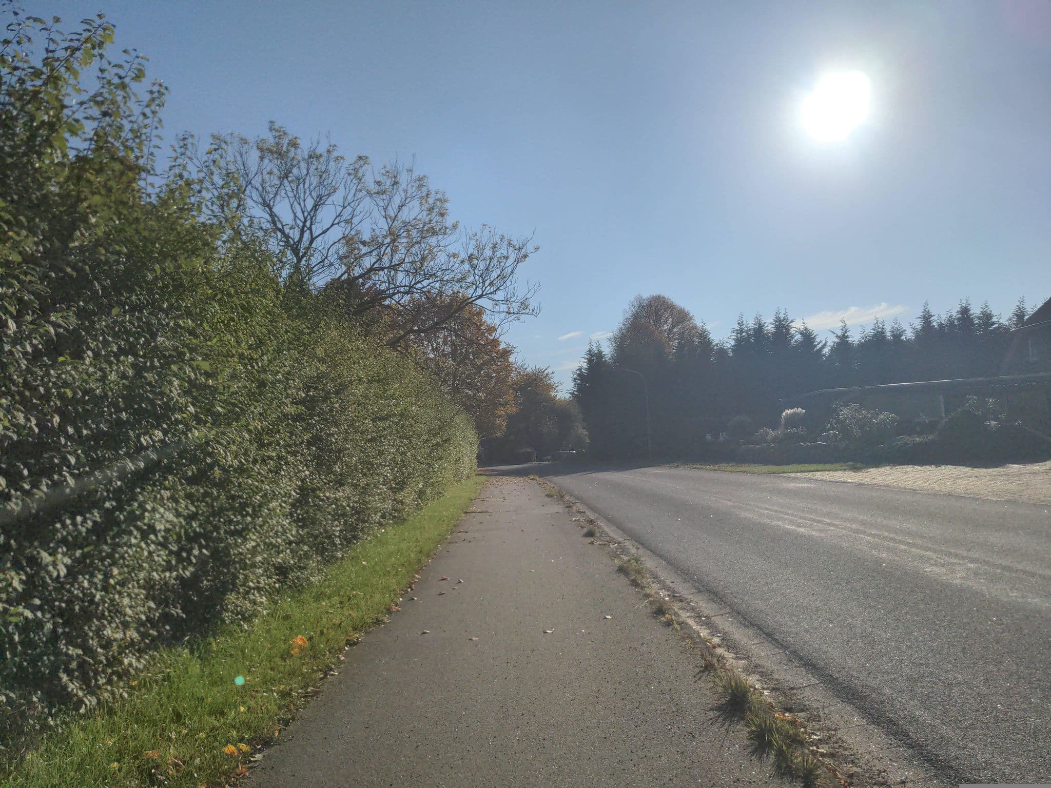 Street view near Hof Wiesentau, Bösdorf — © rasmustravemnd (CC BY-SA · Mapillary)