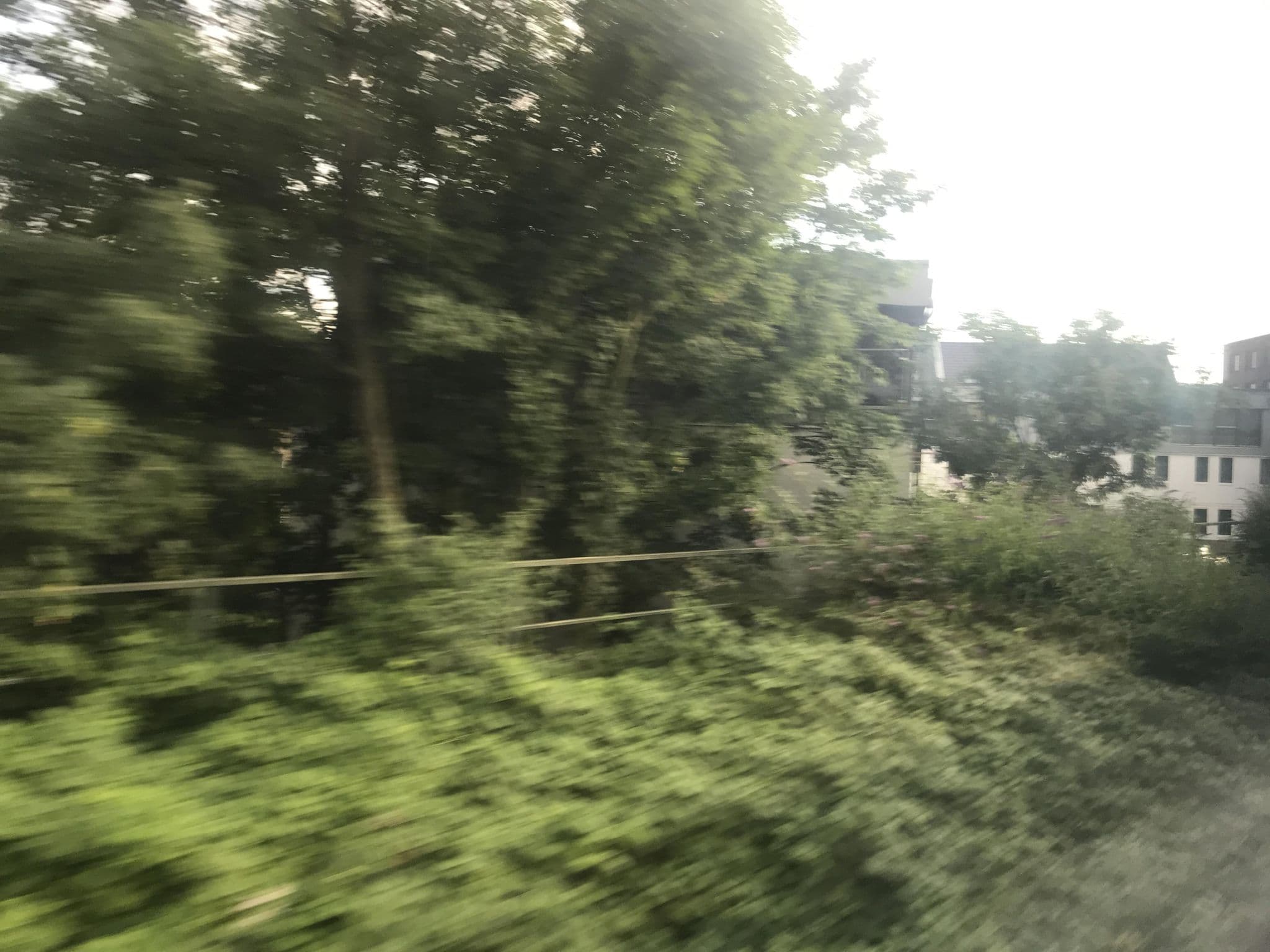 Street view near New City Rooms, Buchforst — © miguel_andrade (CC BY-SA · Mapillary)