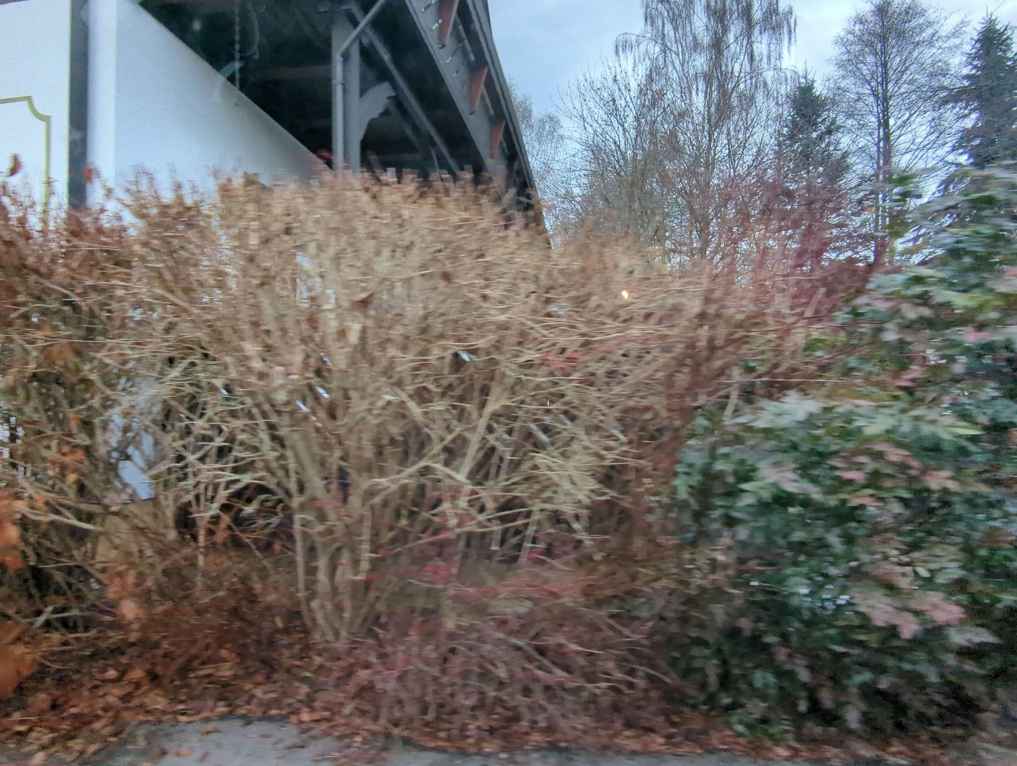 Street view near Gaststätte und Pension Teichhaus Burkhardtsdorf, Burkhardtsdorf — © AR88 (CC BY-SA · Mapillary)