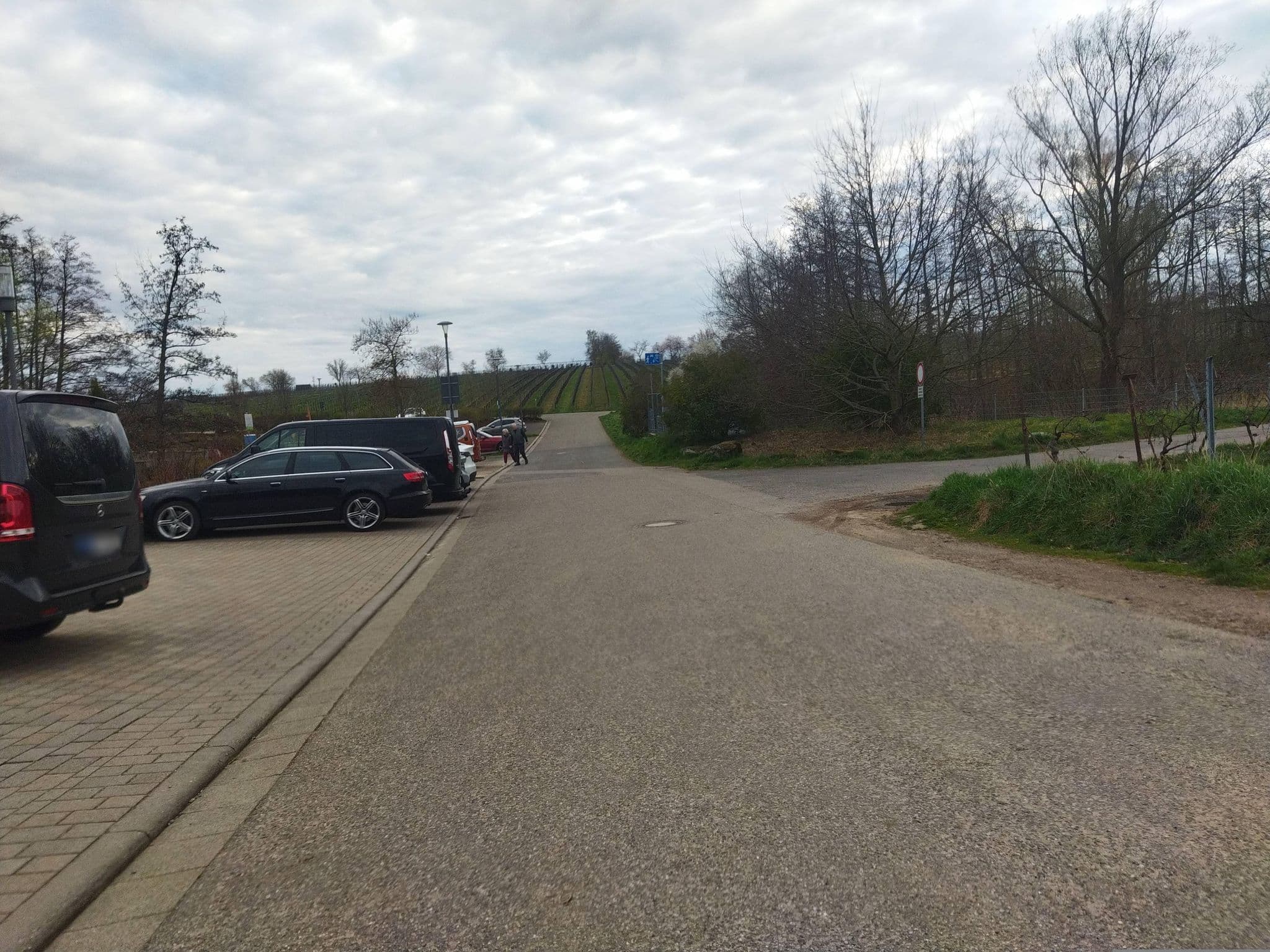 Street view near Das Prinzregent, Edenkoben — © changchun1 (CC BY-SA · Mapillary)