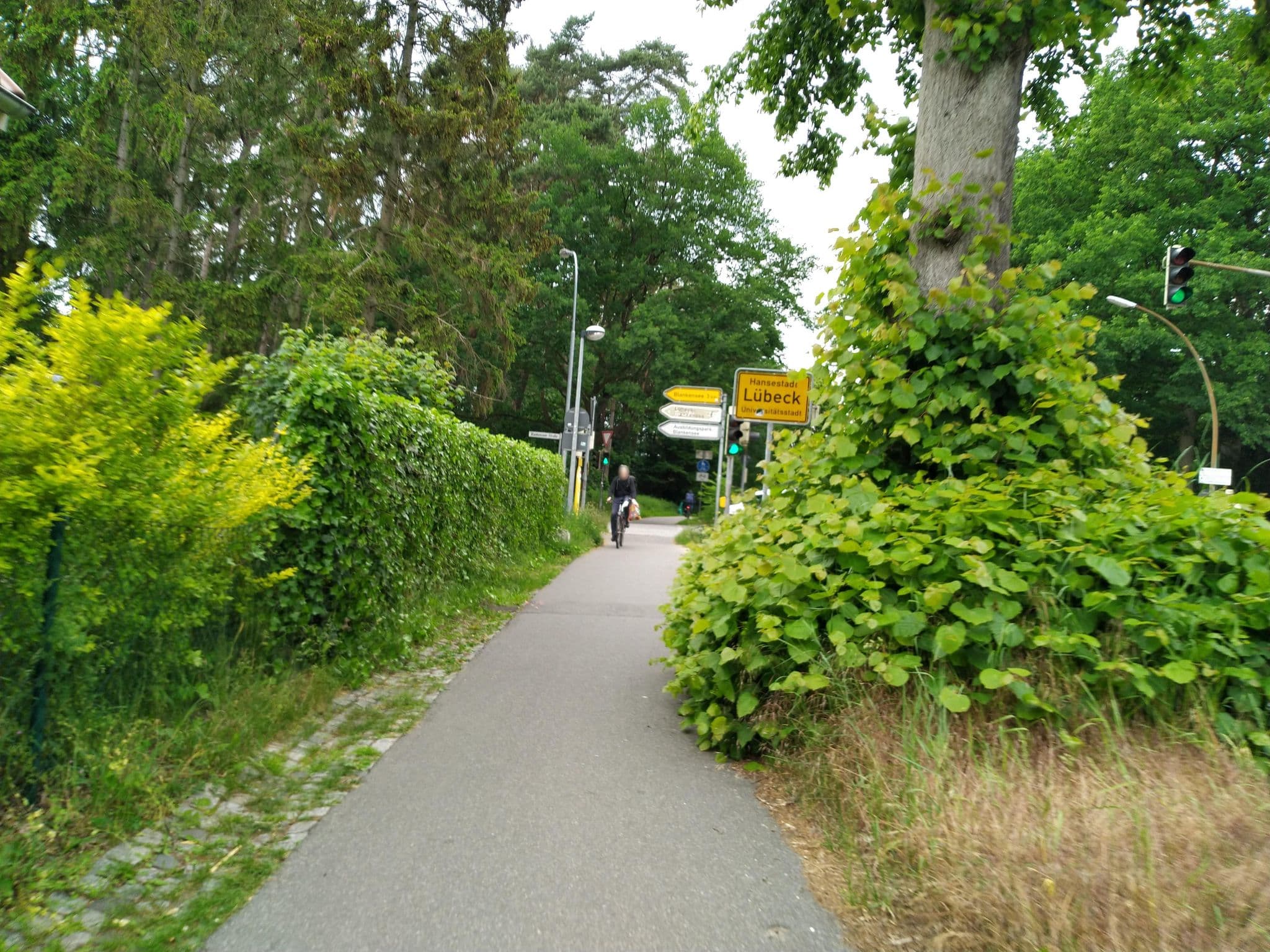 Street view near Hotel Forsthaus St. Hubertus - Marc und Bianca Grotkopp, Groß Grönau — © rasmustravemnd (CC BY-SA · Mapillary)