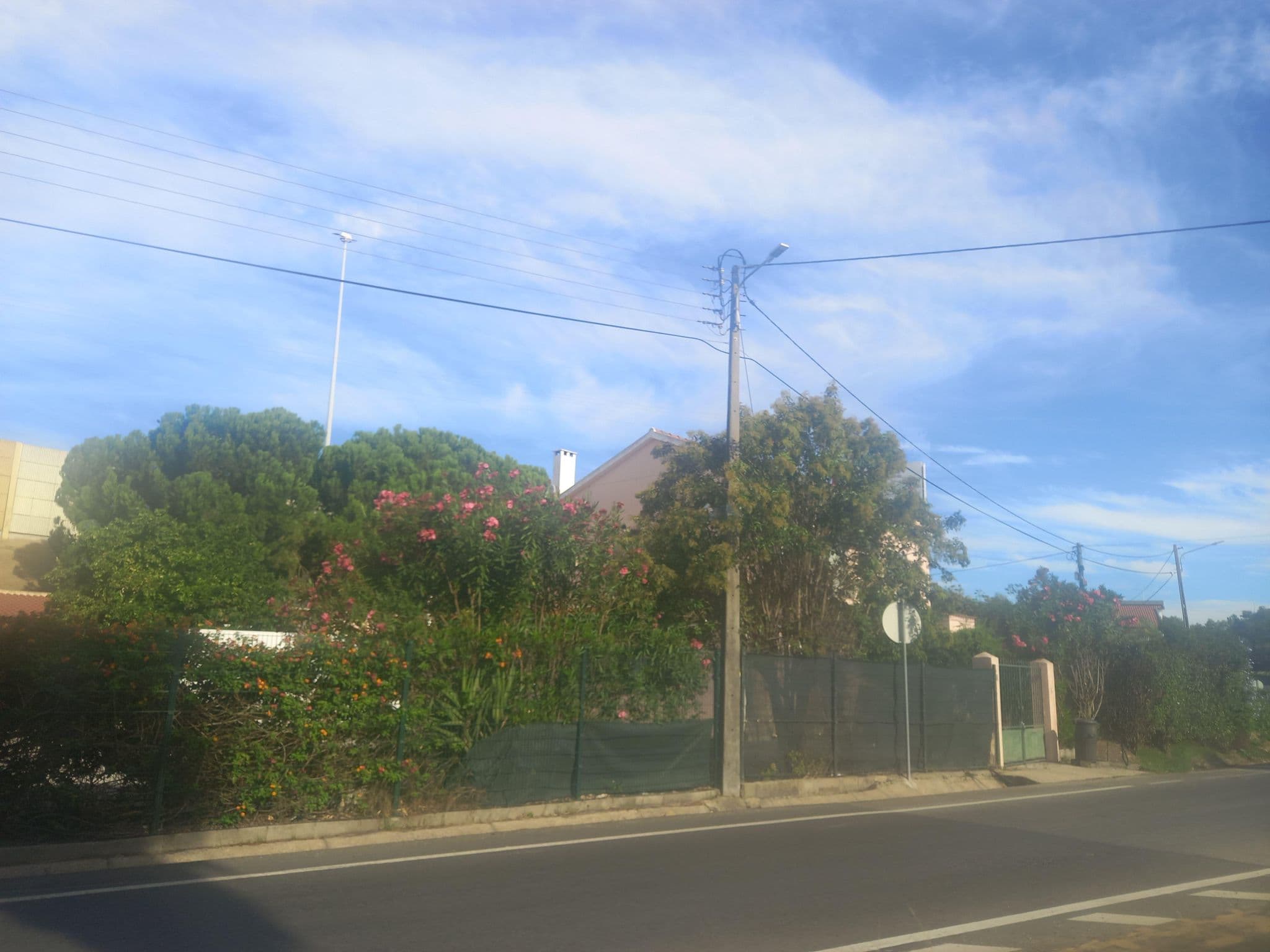 Street view near Silvina Ferreira Guesthouse, Vialonga — © danielagos12 (CC BY-SA · Mapillary)