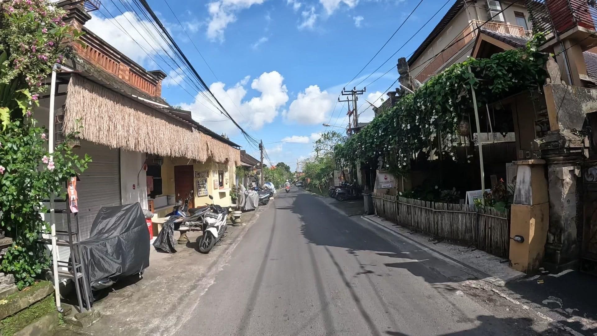 Street view near Tapa Nata Ubud, Ubud