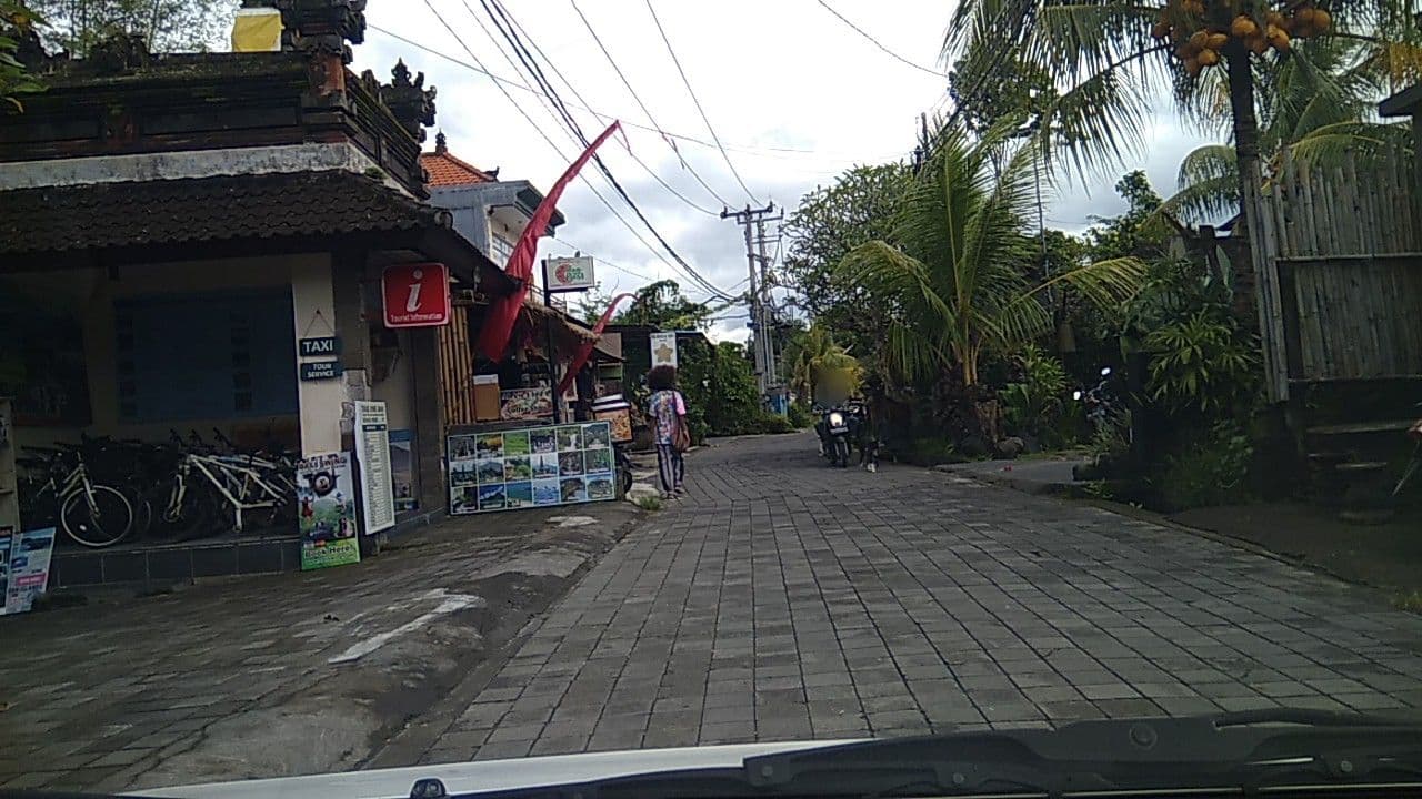 Street view near Villa Abipraya, Ubud