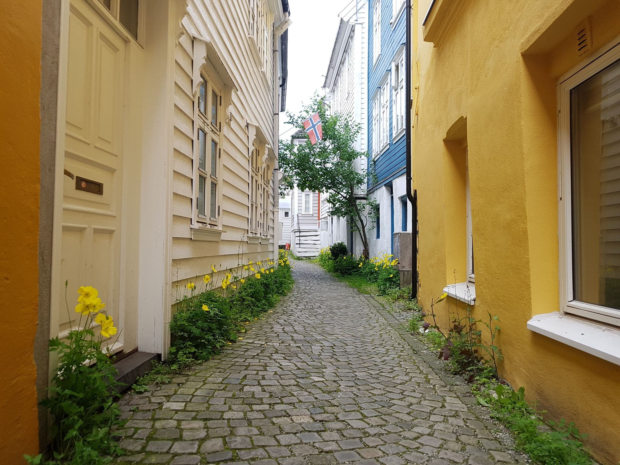 Street view near Bergen Beds Serviced apartments centrum, Bergen — © pbb (CC BY-SA · Mapillary)