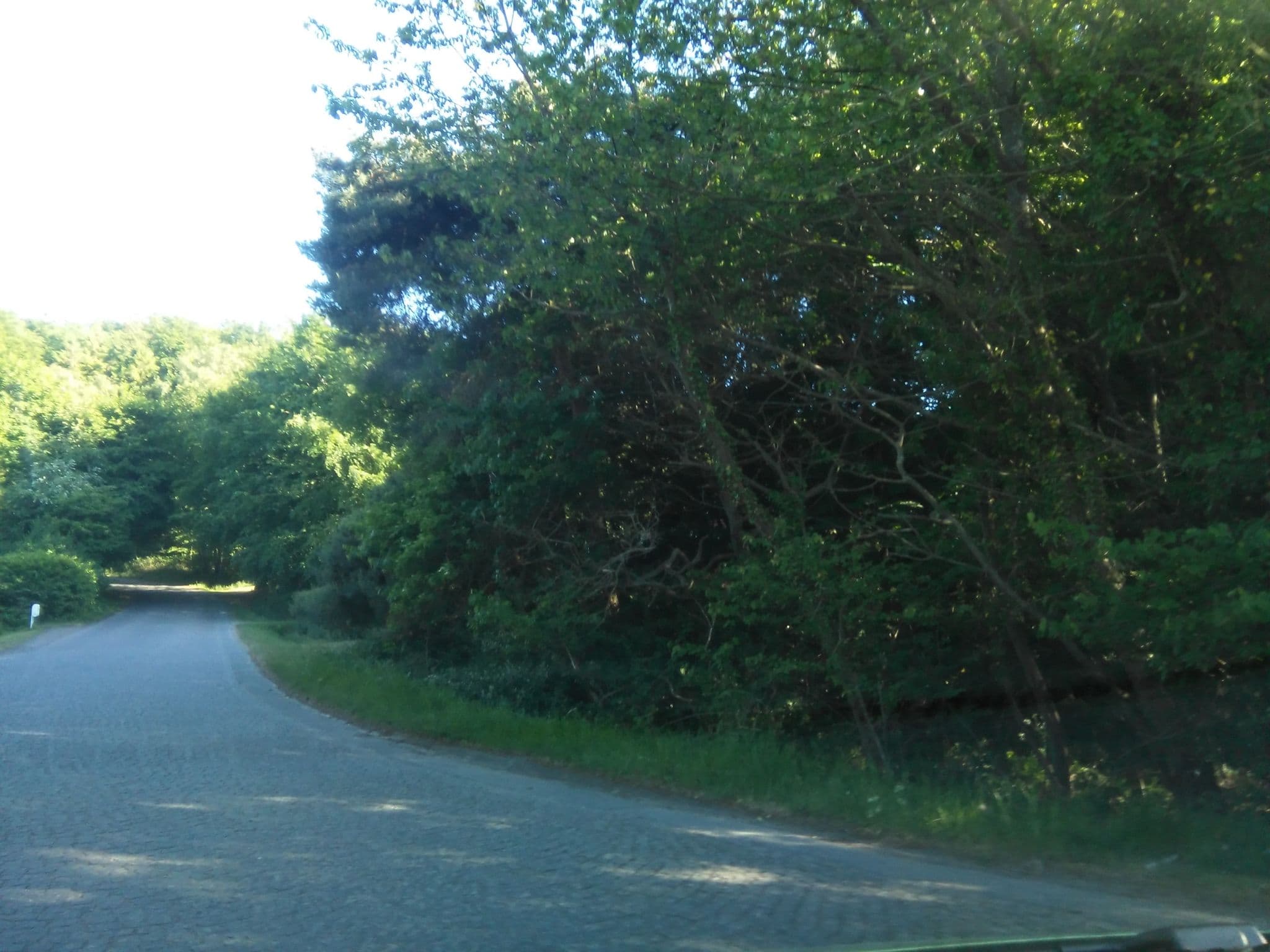 Street view near Sænehus Husmandssted, Allinge — © nico (CC BY-SA · Mapillary)