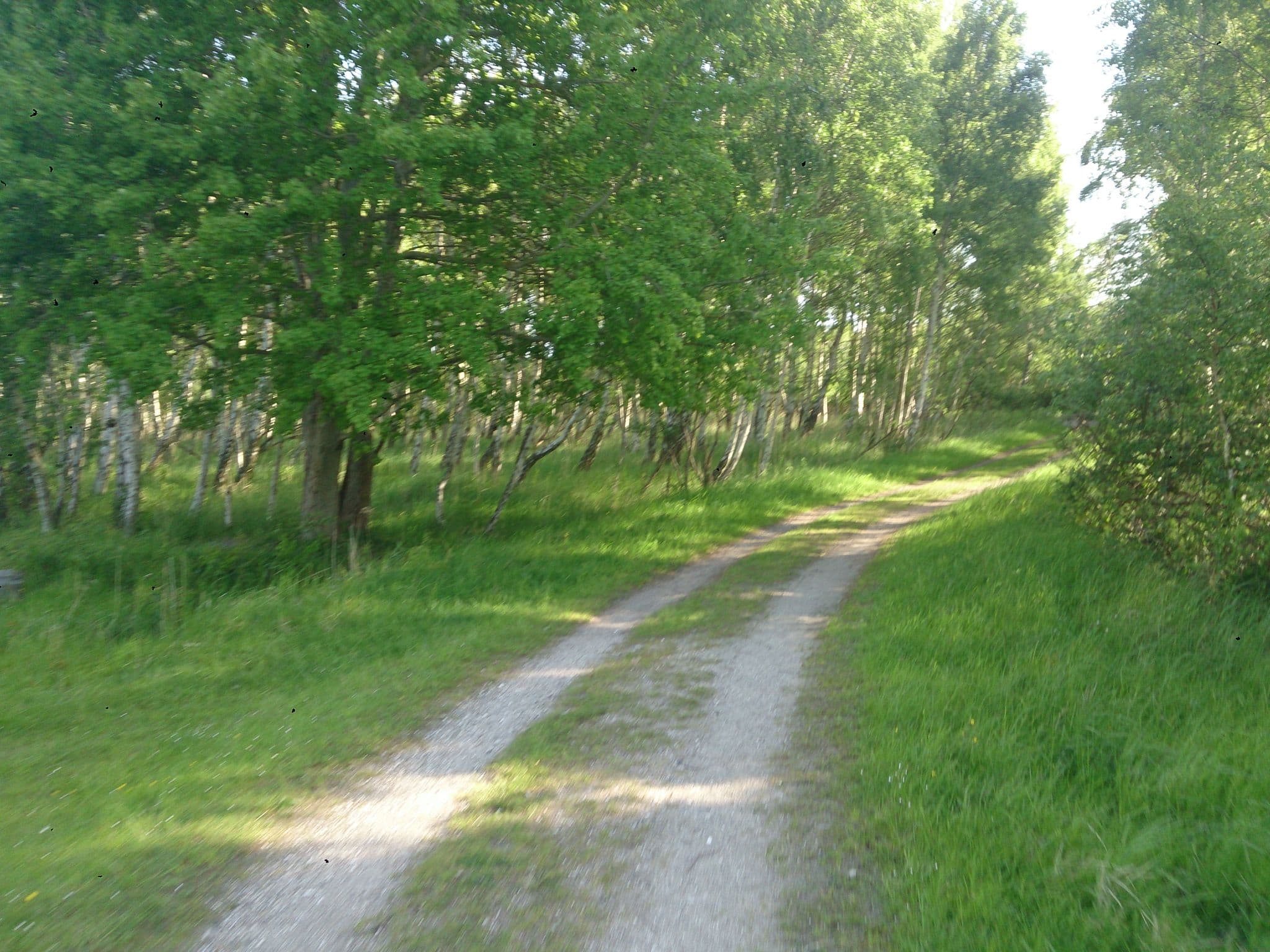 Street view near Primitiv overnatningsplads Ottehøjvej, Tårnby — © claush66 (CC BY-SA · Mapillary)