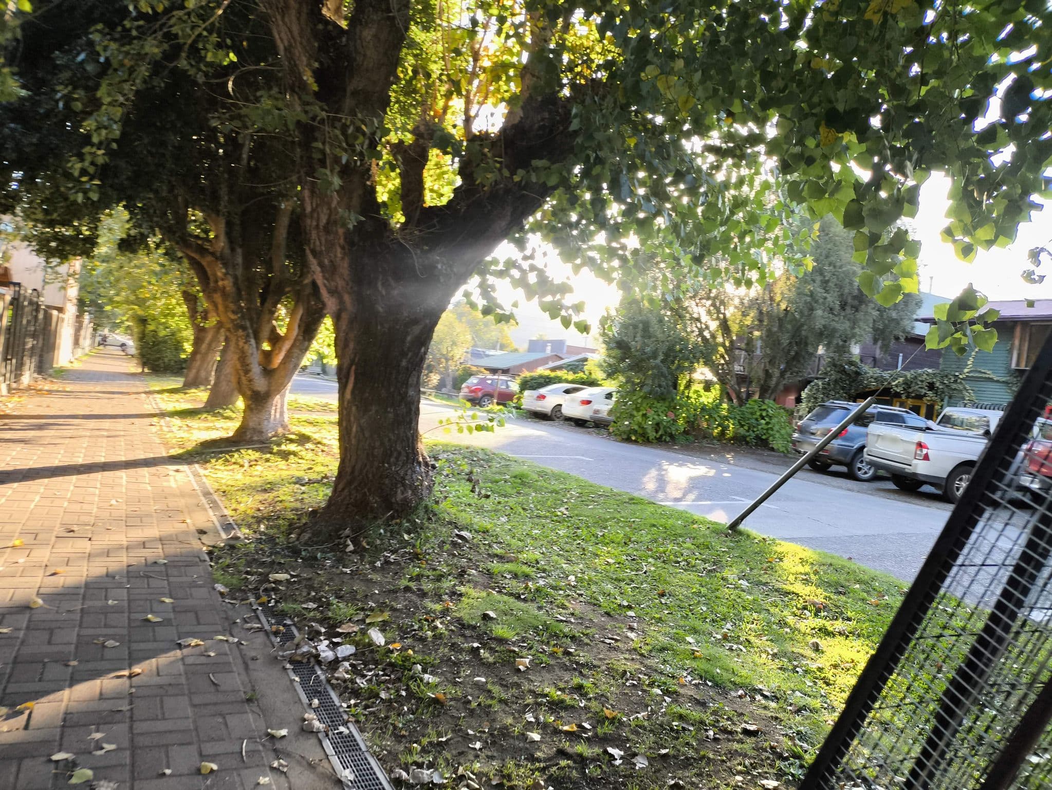 Street view near Ecole, Pucón