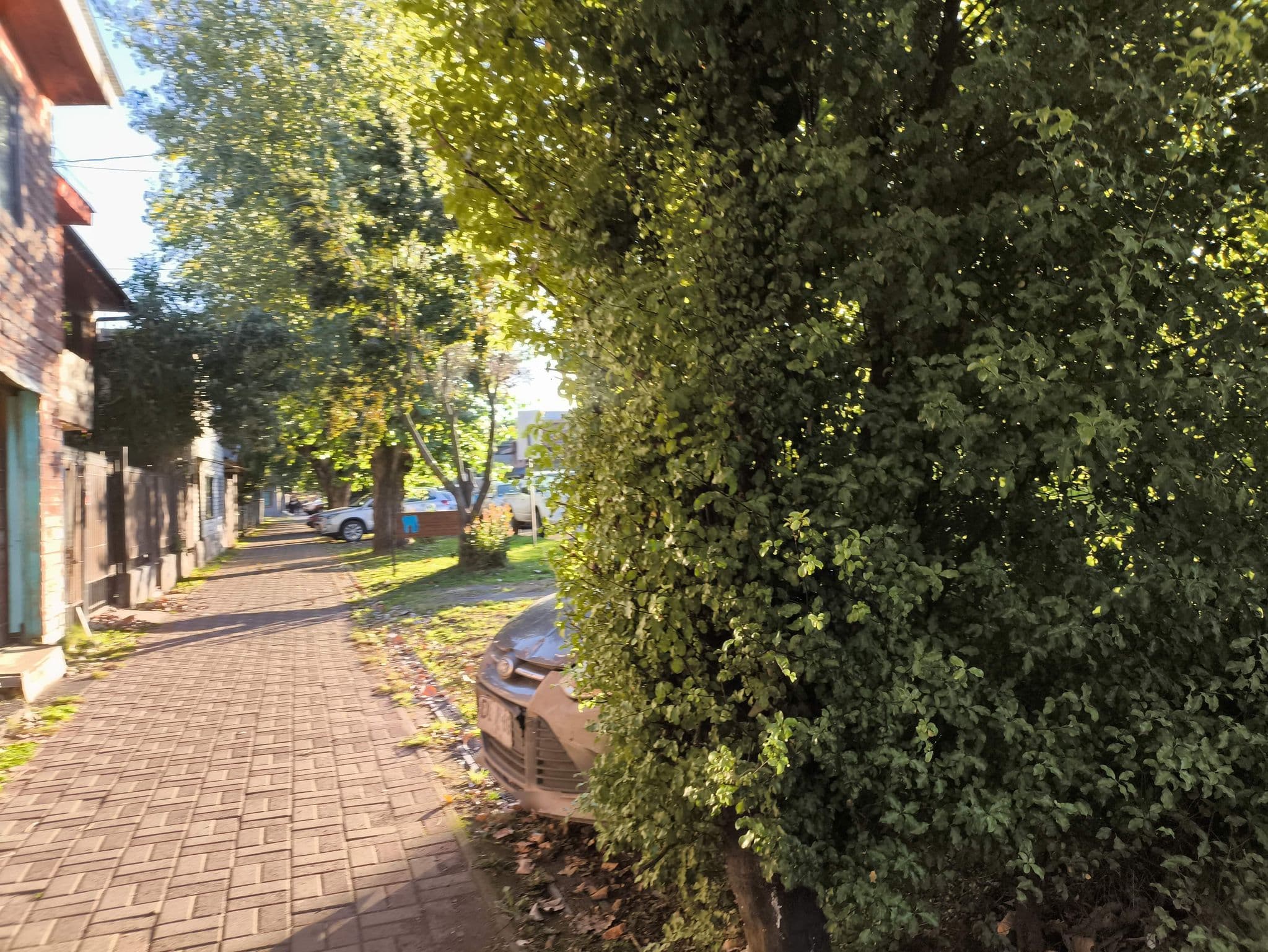 Street view near La Tetera, Pucón