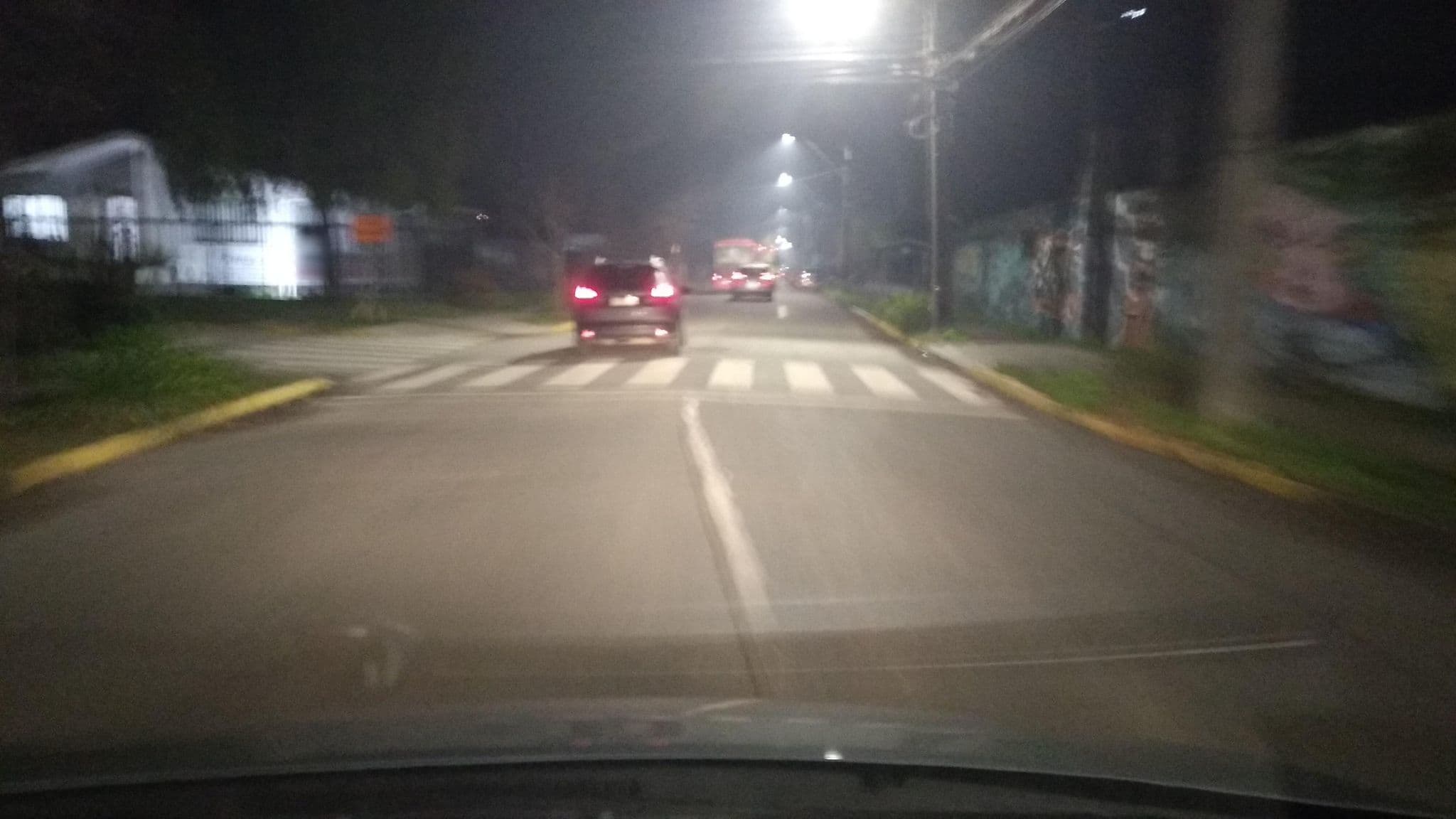 Street view near Cabañas Raitué, Valdivia — © ariellopez (CC BY-SA · Mapillary)