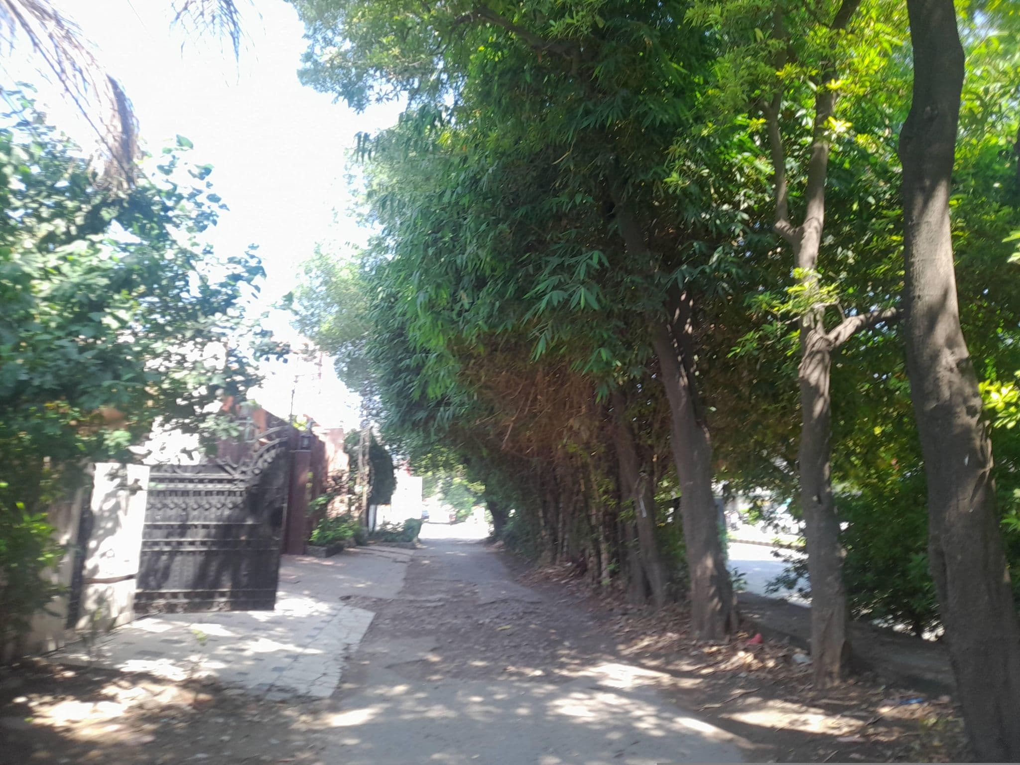 Street view near New Moon Soon Hotel, Model Town — © Zain_Ali (CC BY-SA · Mapillary)