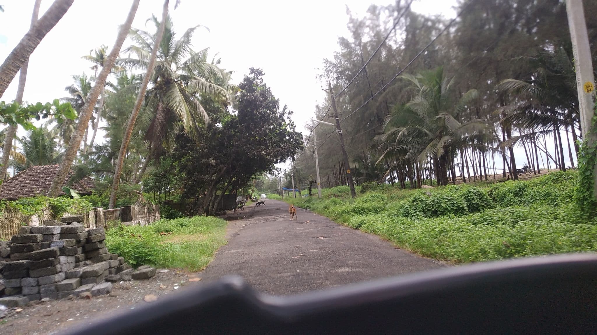 Street view near Wave Roost Beach Resort, Vadakakarai — © jothishbabu (CC BY-SA · Mapillary)