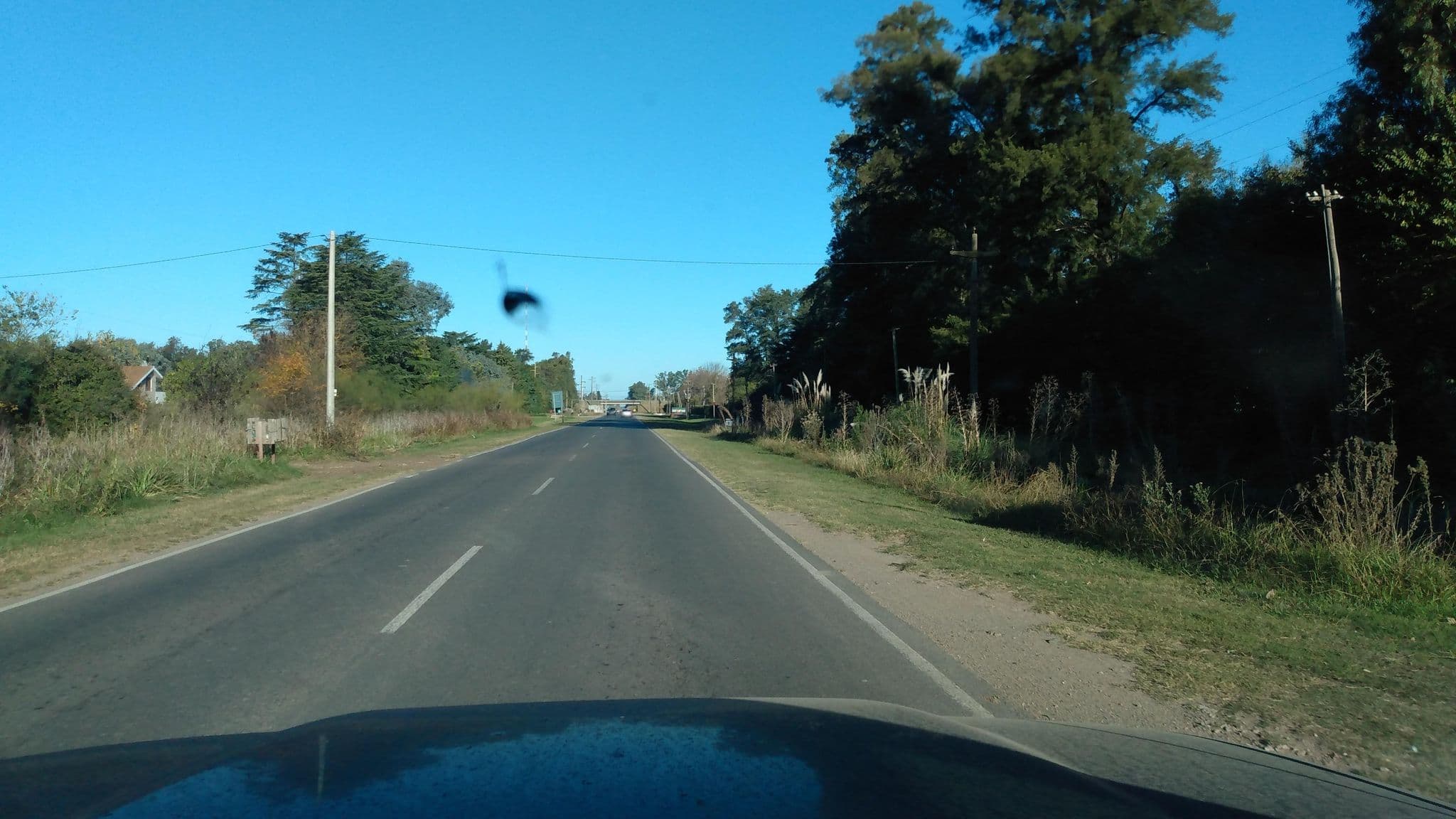 Street view near Camping Biohuellas, Luján — © andresduhour (CC BY-SA · Mapillary)