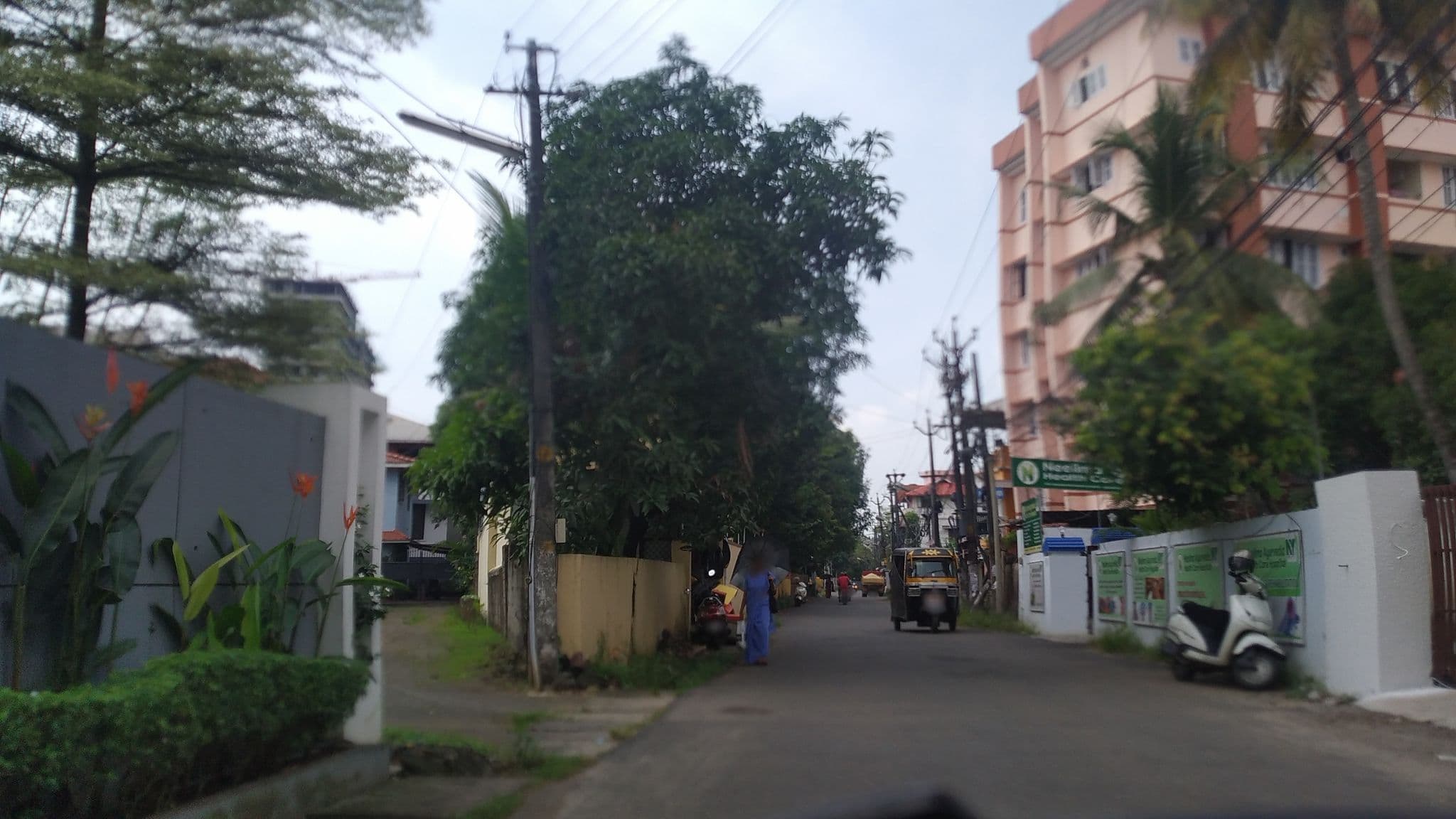 Street view near Zostel Kochi (Ernakulam), Kanayannur — © jothishbabu (CC BY-SA · Mapillary)