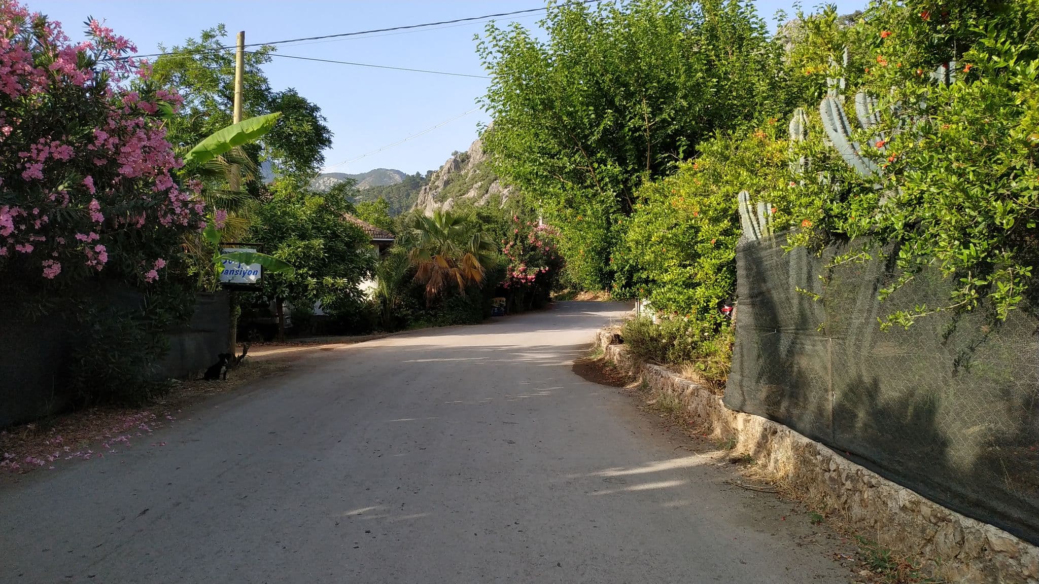 Street view near Ayris Hotel Çıralı, Ulupınar — © limping (CC BY-SA · Mapillary)