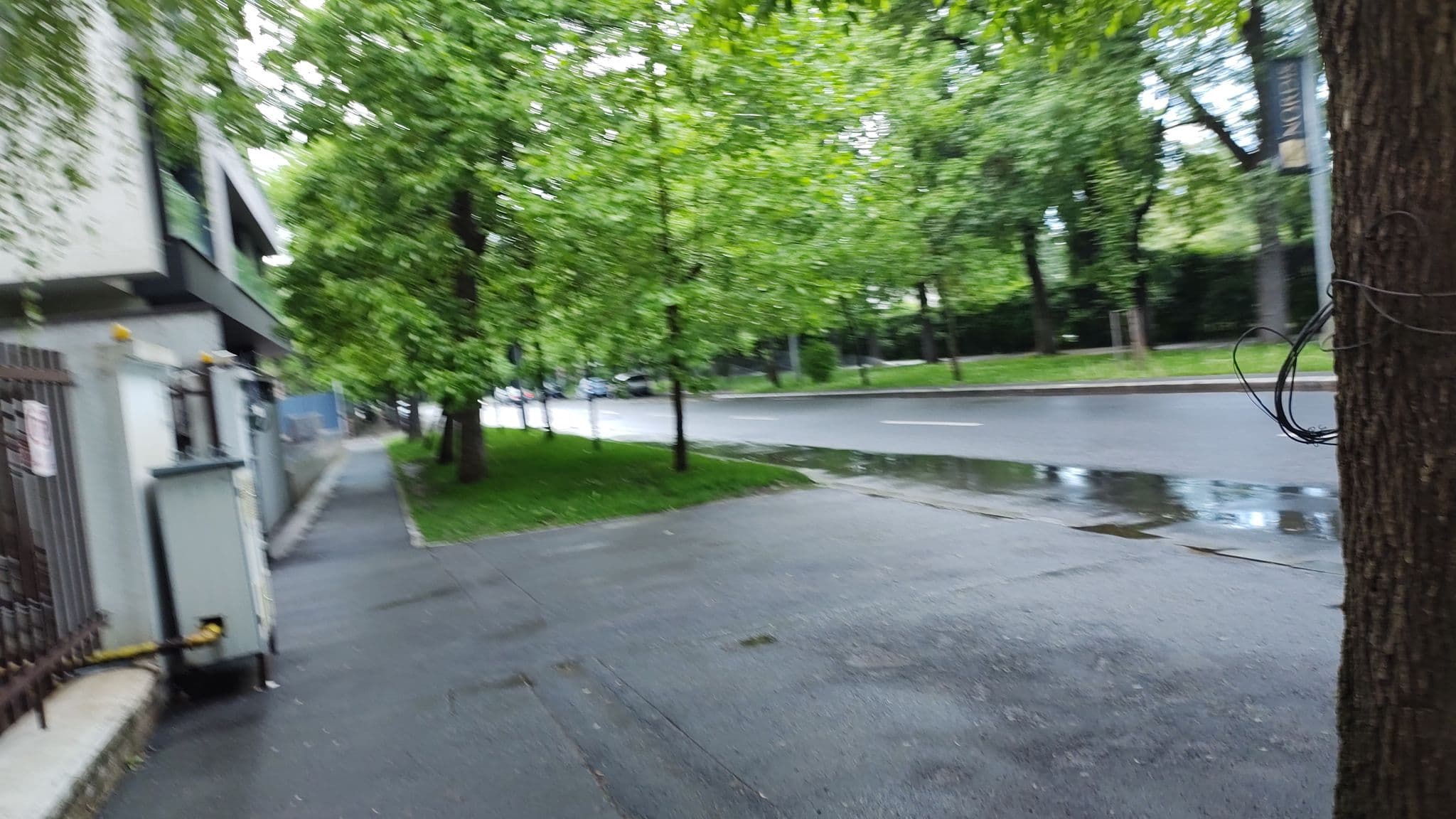 Street view near Room 12, Sector 2 — © rsandu (CC BY-SA · Mapillary)