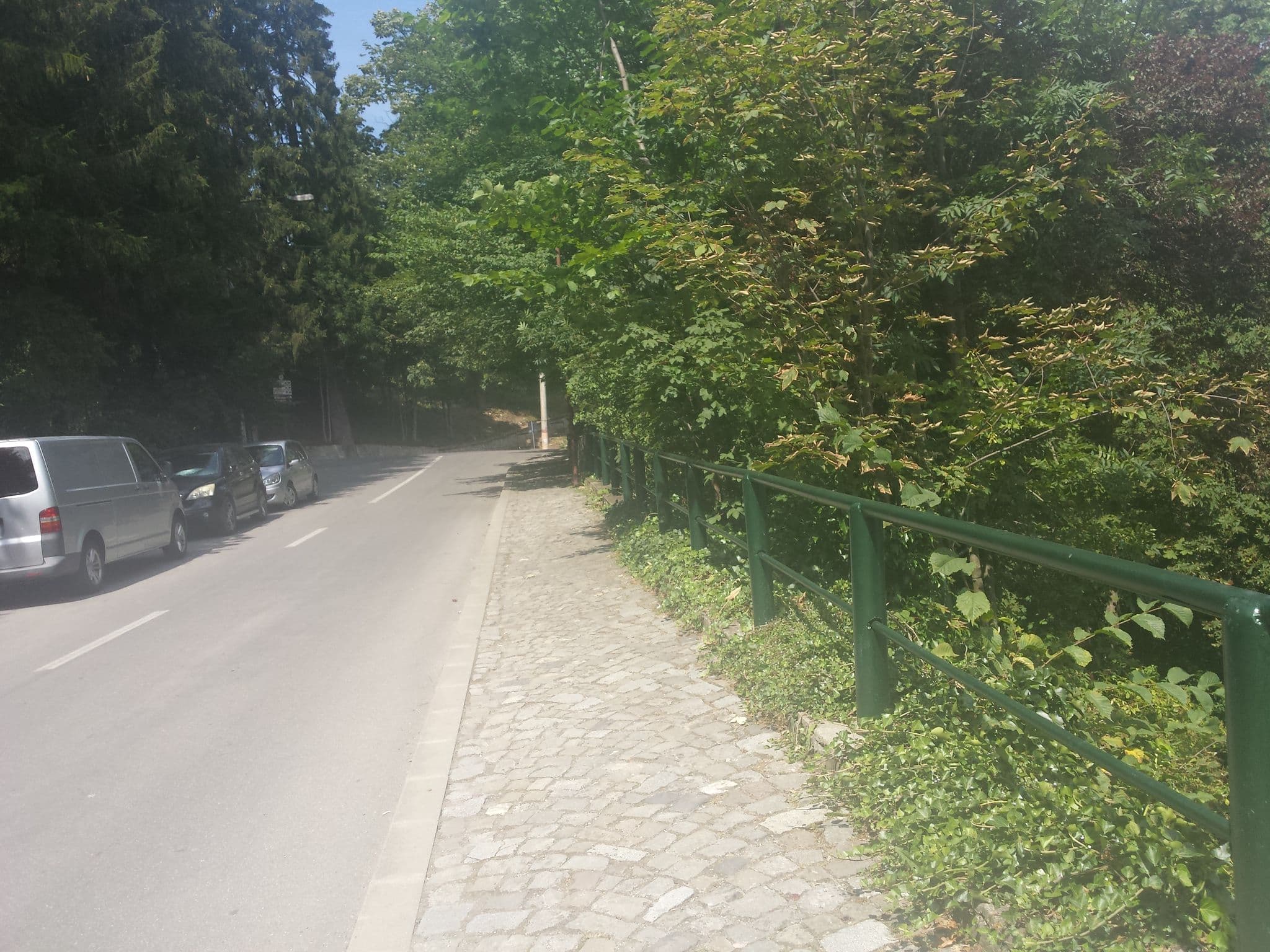 Street view near Excelsior Boutique, Sinaia — © rsandu (CC BY-SA · Mapillary)