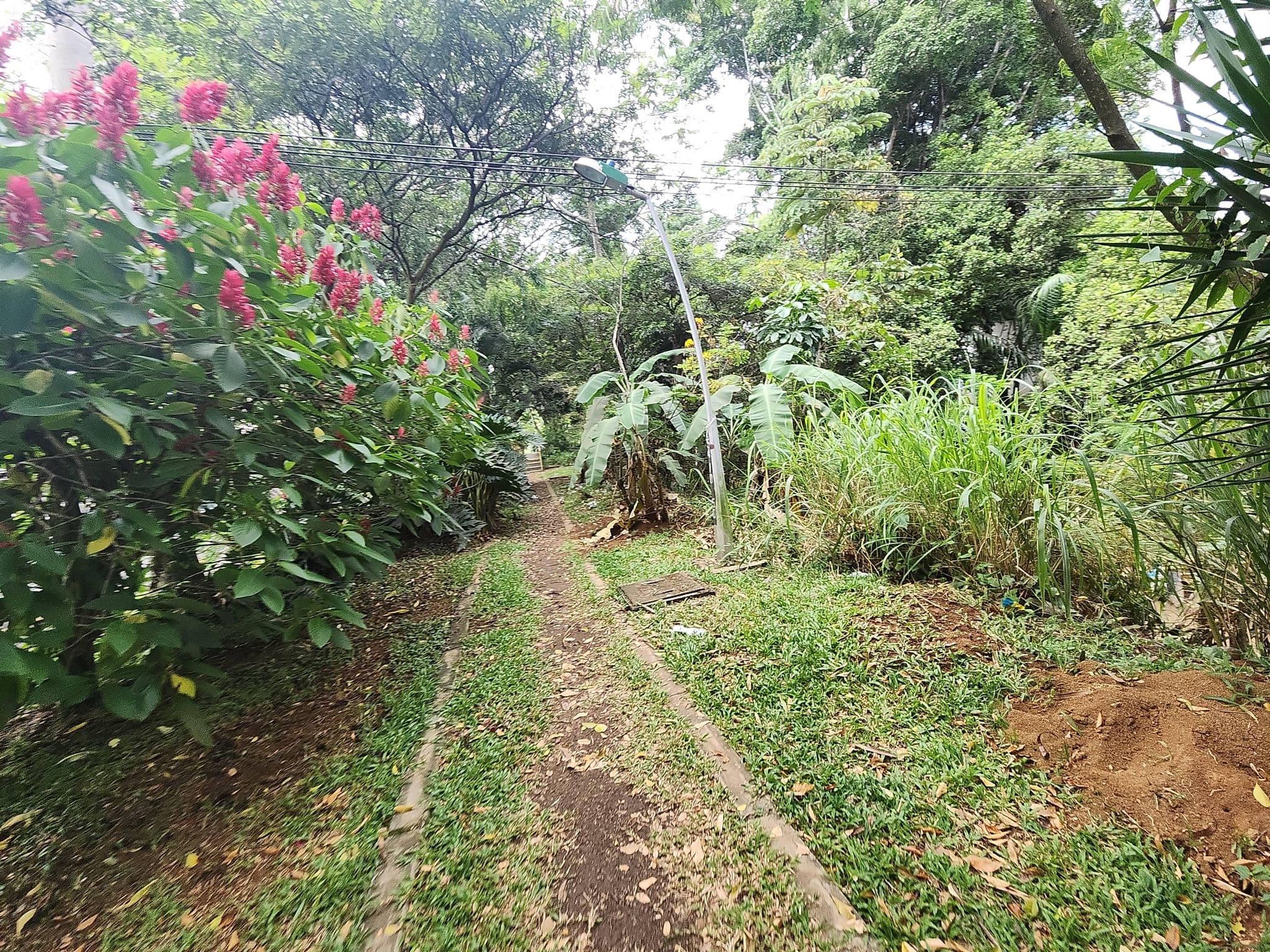 Street view near hotel boutique business center, Cali — © bosquesurbanos (CC BY-SA · Mapillary)