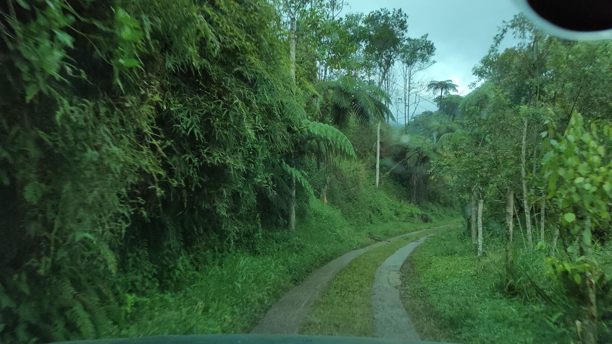Street view near Rancho Super Cheers Turismo de Naturaleza y Aves, Cali, Jamundí — © christiancasa (CC BY-SA · Mapillary)