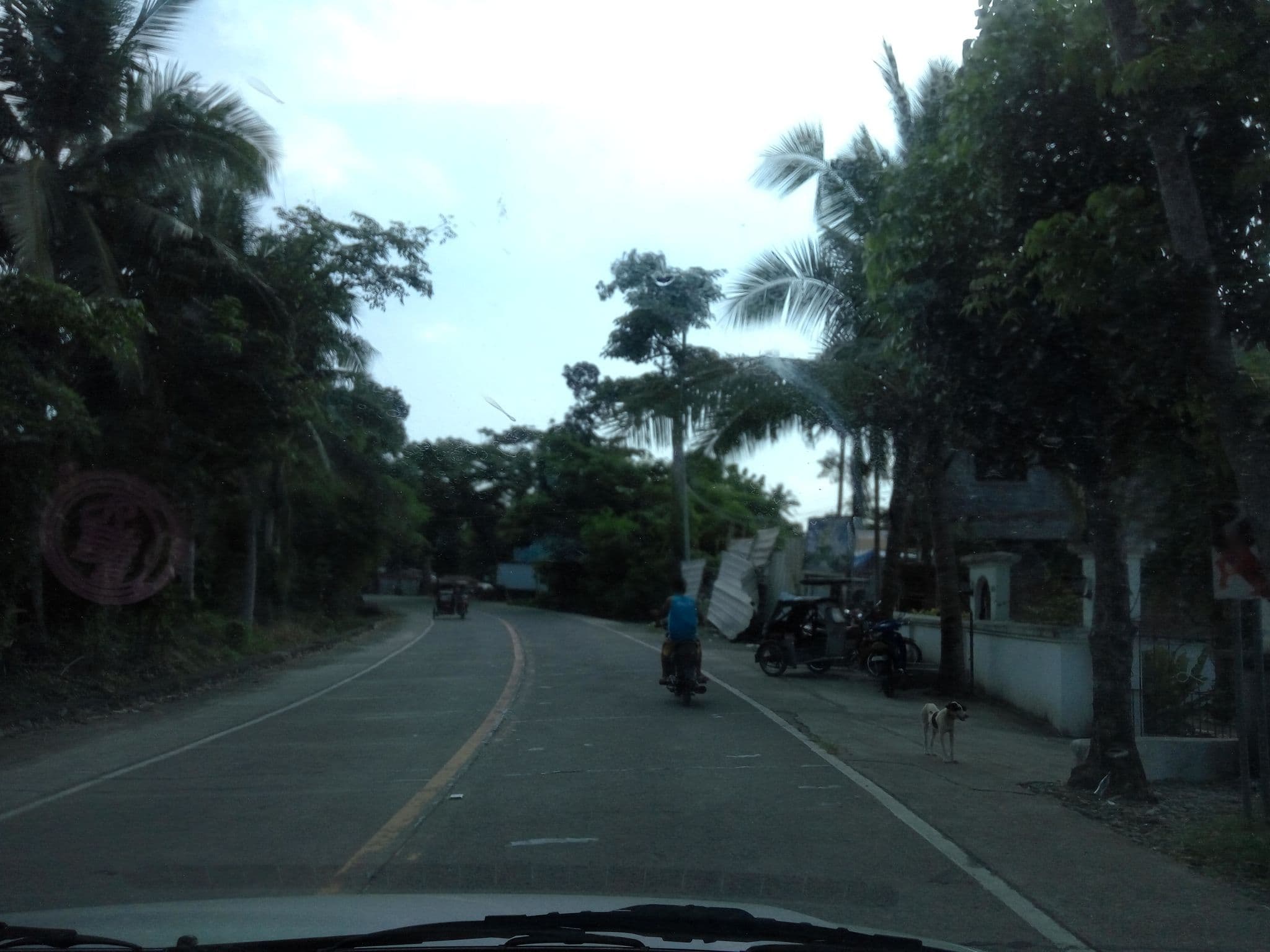 Street view near Casa Herminia Baler ( Hotel A), Suklayin — © asdfasdf0986 (CC BY-SA · Mapillary)