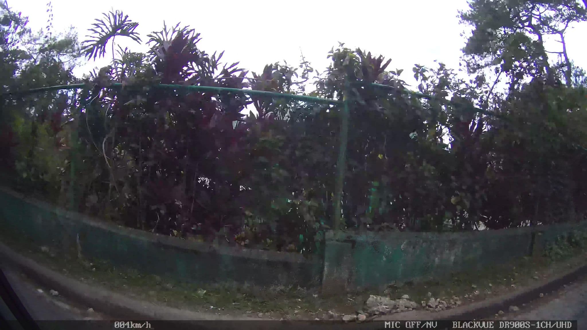 Street view near Casa Isabelina, Baguio — © Kaart---RIGHT (CC BY-SA · Mapillary)