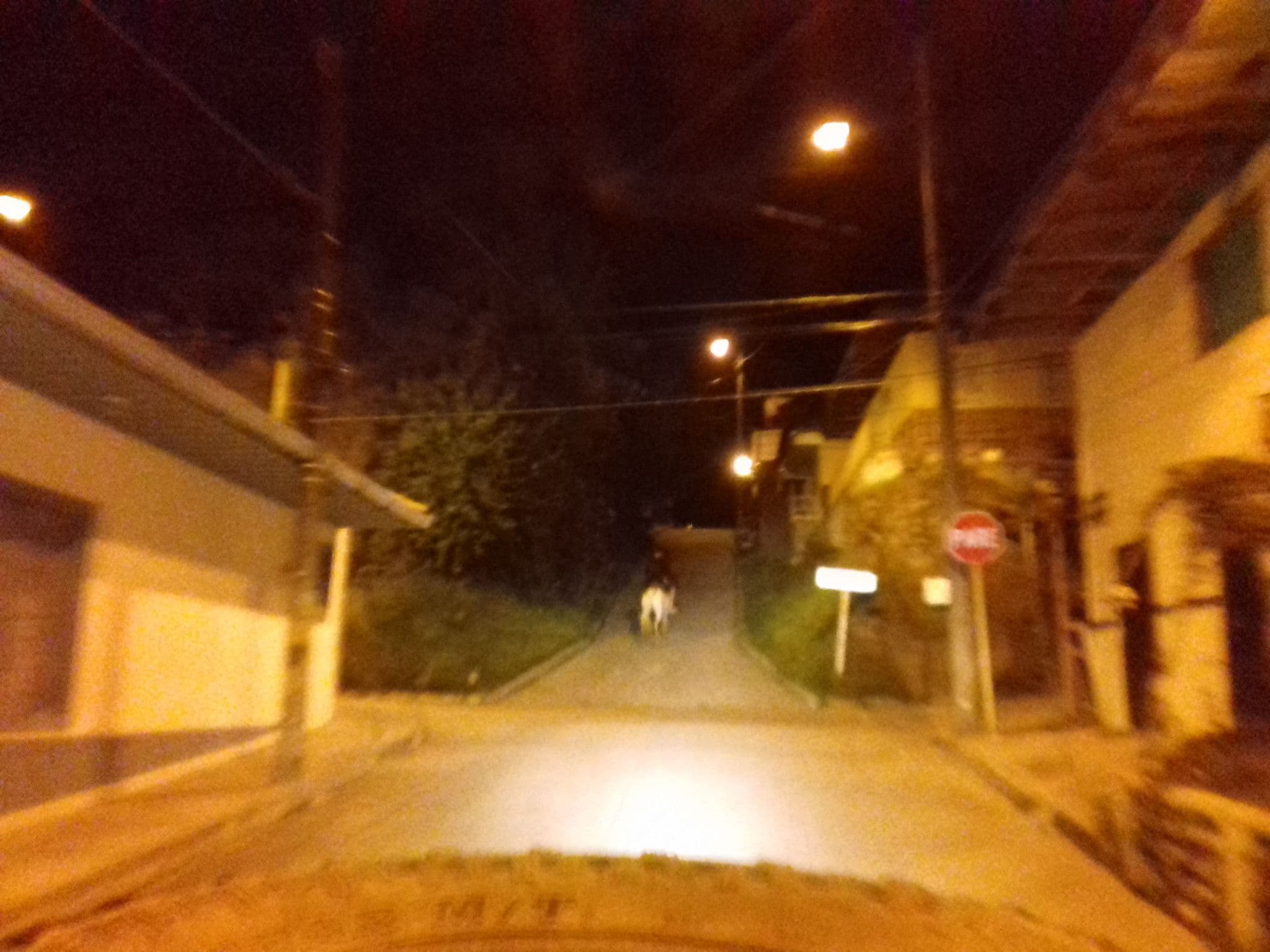 Street view near Terrazas de Salento, Salento — © colombia_tour (CC BY-SA · Mapillary)