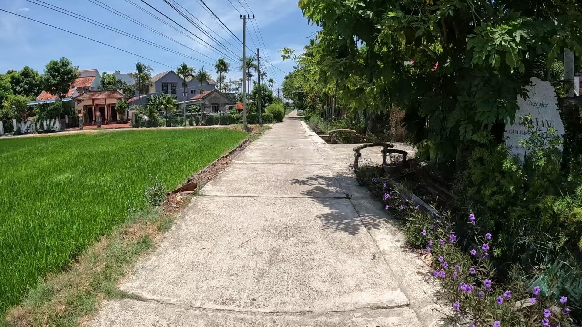 Street view near Hoi An Golden Rice Villa - Triple Room with Balcony, Tra Que Vegetable Village — © lucomsky (CC BY-SA · Mapillary)