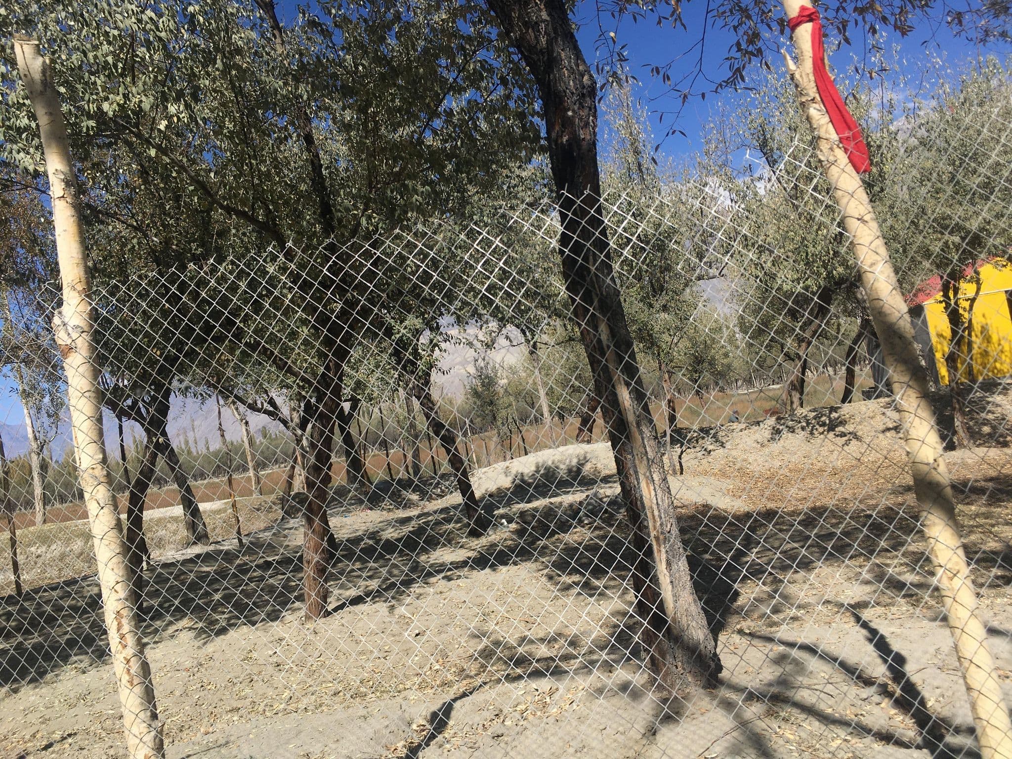 Street view near Montagna Pods | best hotel in skardu, Skardu — © Mishele90 (CC BY-SA · Mapillary)