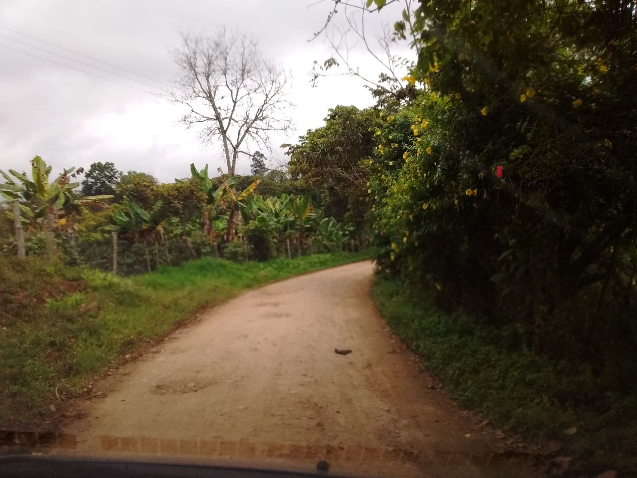 Street view near Hotel Monasterio San Agustín, San Agustín — © kaxtillo (CC BY-SA · Mapillary)