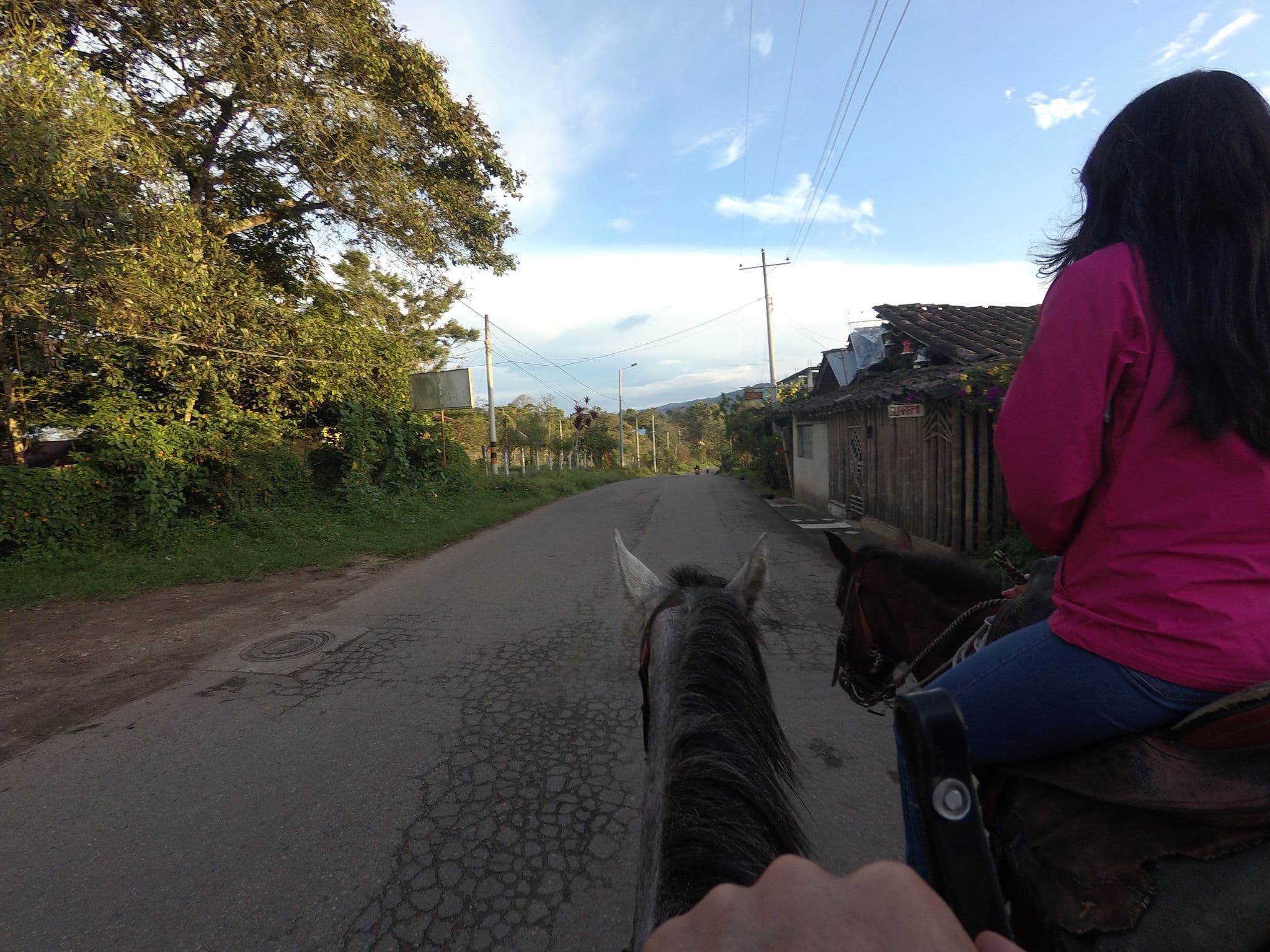 Street view near Qinti Quetzal - Infinite Crystal, San Agustín — © angoca (CC BY-SA · Mapillary)