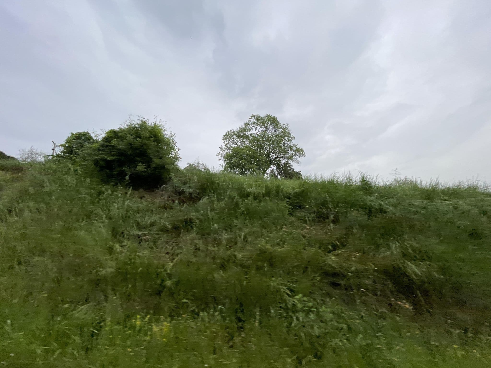 Street view near Beautiful Villa in Nature, Buje — © filipb (CC BY-SA · Mapillary)