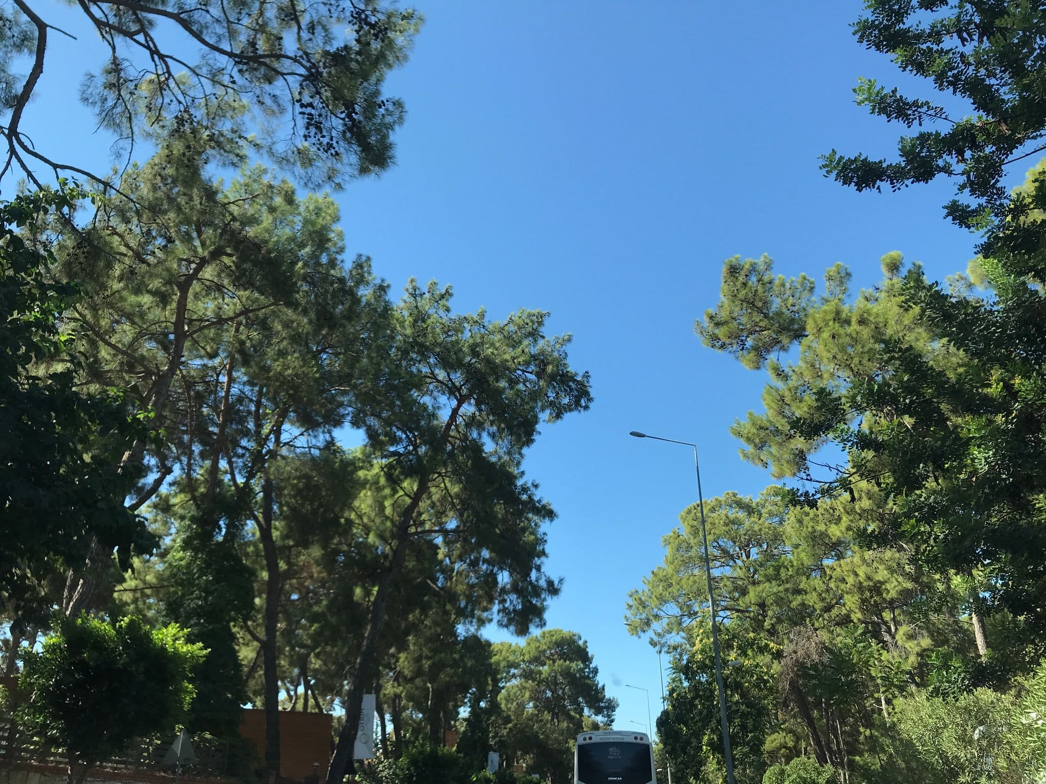 Street view near Ulusoy Kemer Holiday Club, Göynük — © ferahkoksal (CC BY-SA · Mapillary)