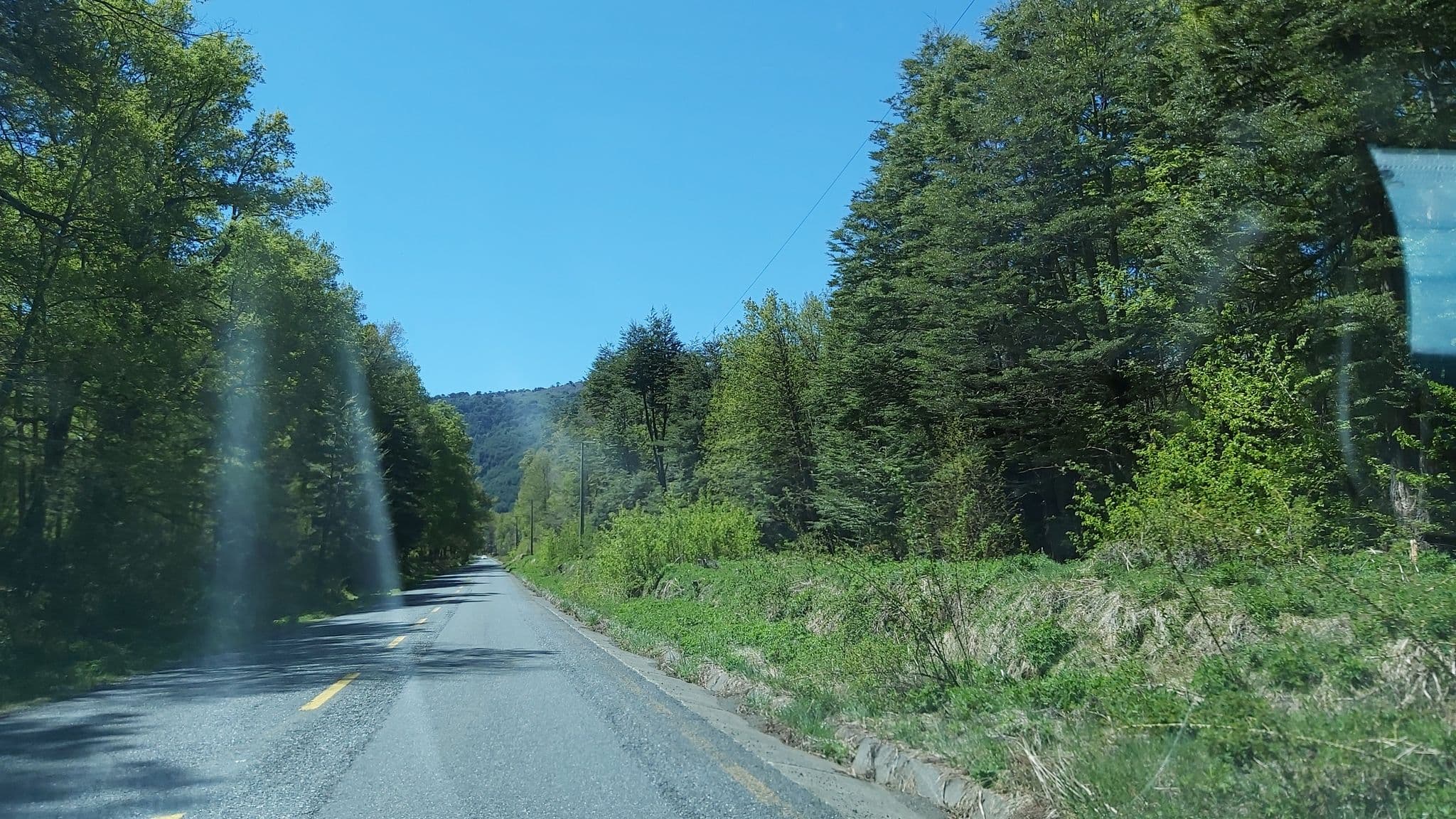 Street view near Refugios Australes, Lonquimay — © jptolosa (CC BY-SA · Mapillary)