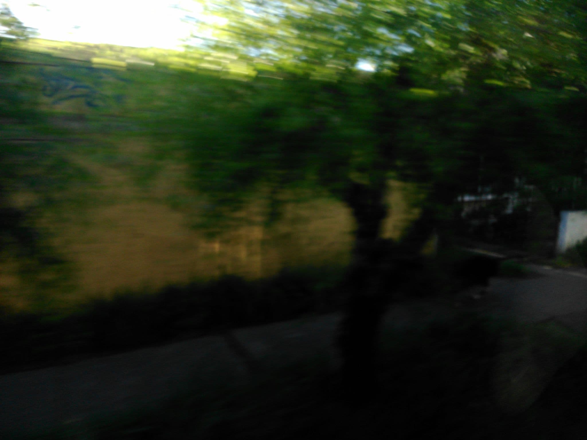 Street view near Hostal Brisas Del Sur, Temuco — © dalacost (CC BY-SA · Mapillary)