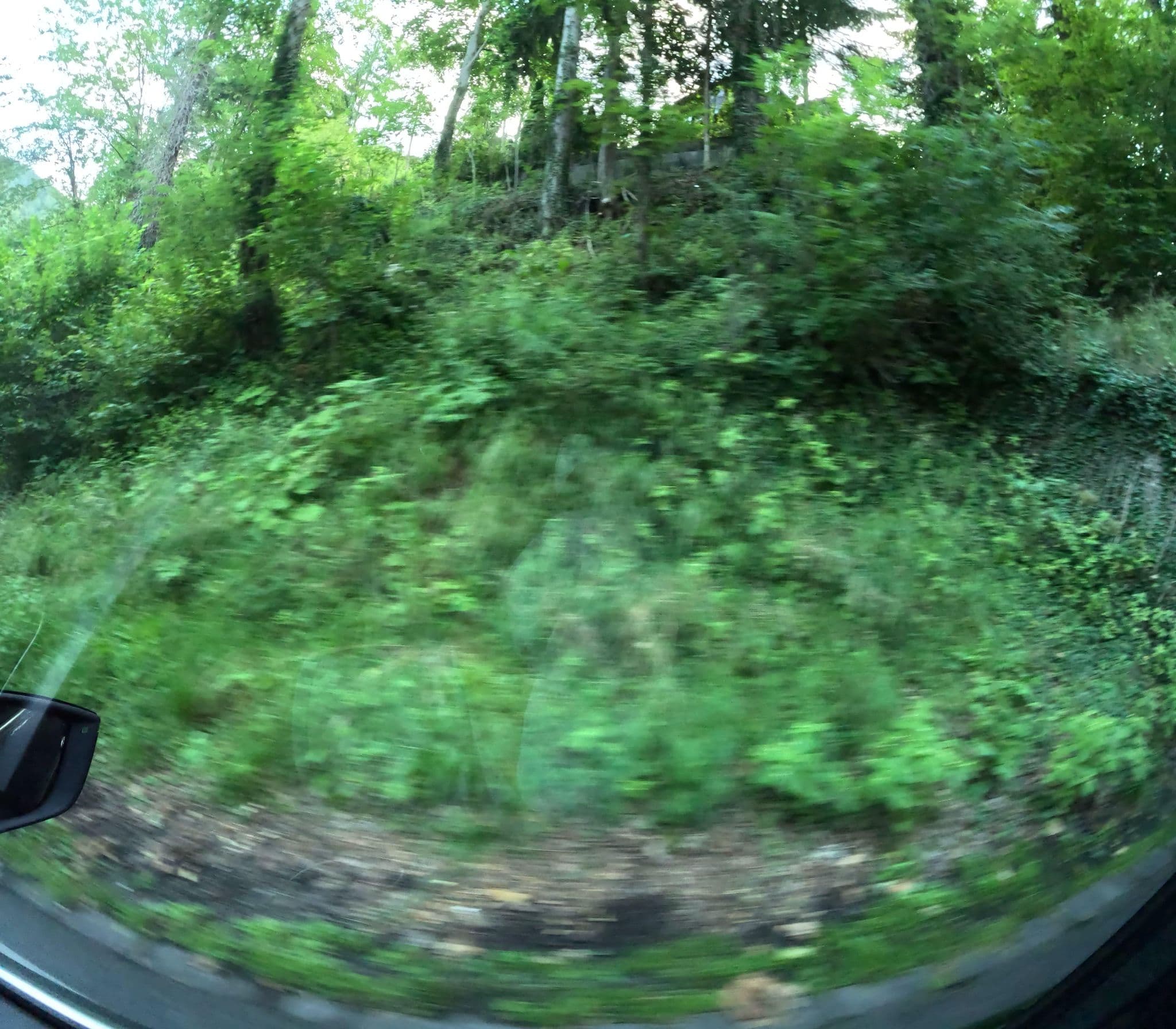 Street view near Villa Agnes, Payerbach — © erias (CC BY-SA · Mapillary)