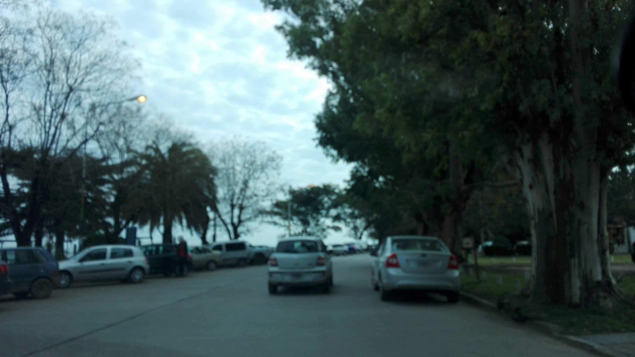 Street view near Portal del Sur, Chascomús — © nicfer (CC BY-SA · Mapillary)